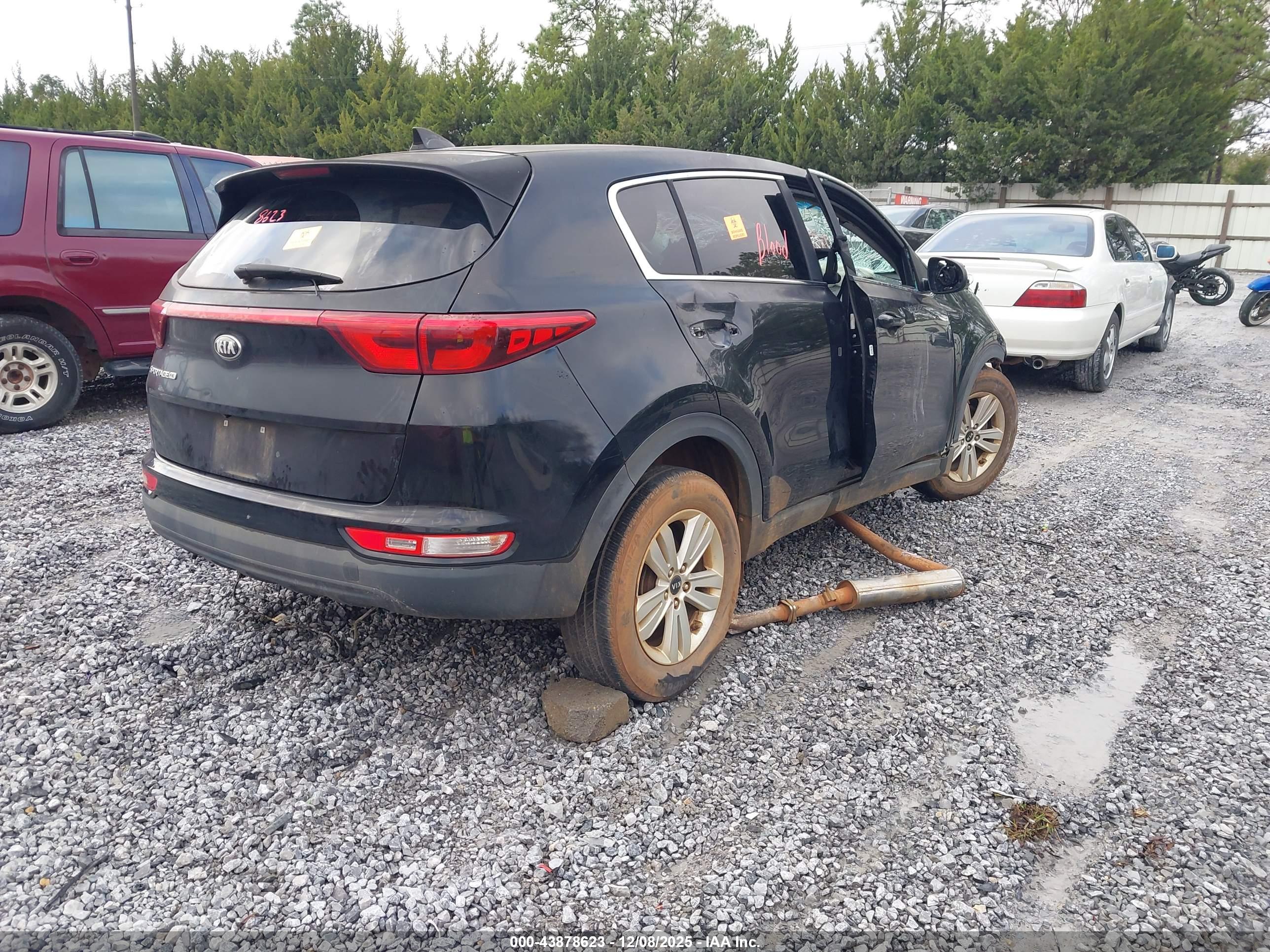 KIA SPORTAGE image 4