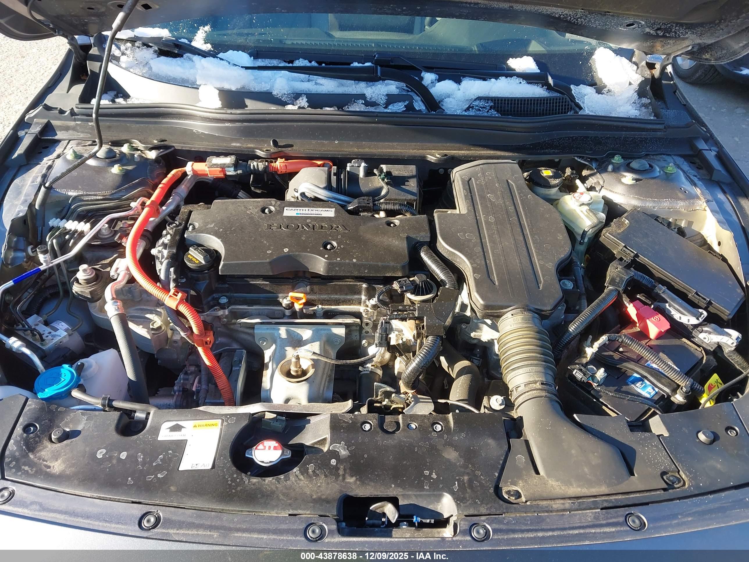 HONDA ACCORD image 10