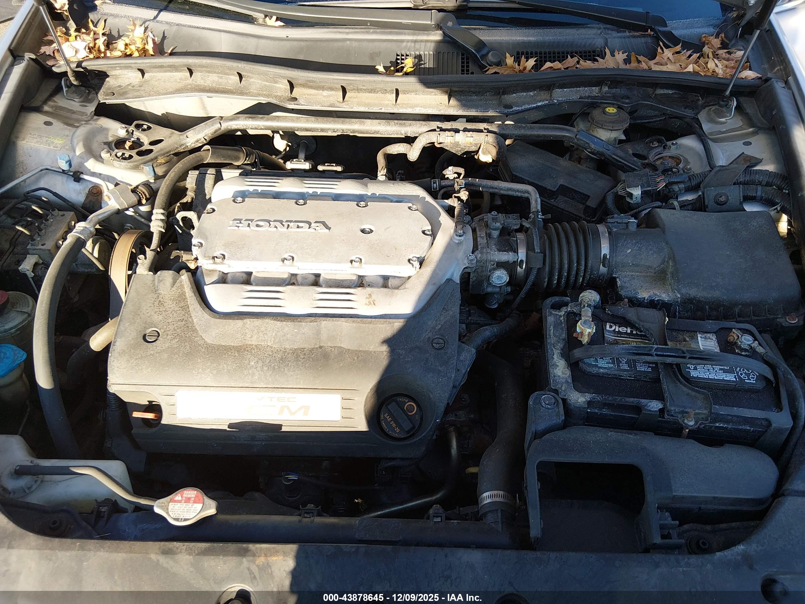 HONDA ACCORD image 10