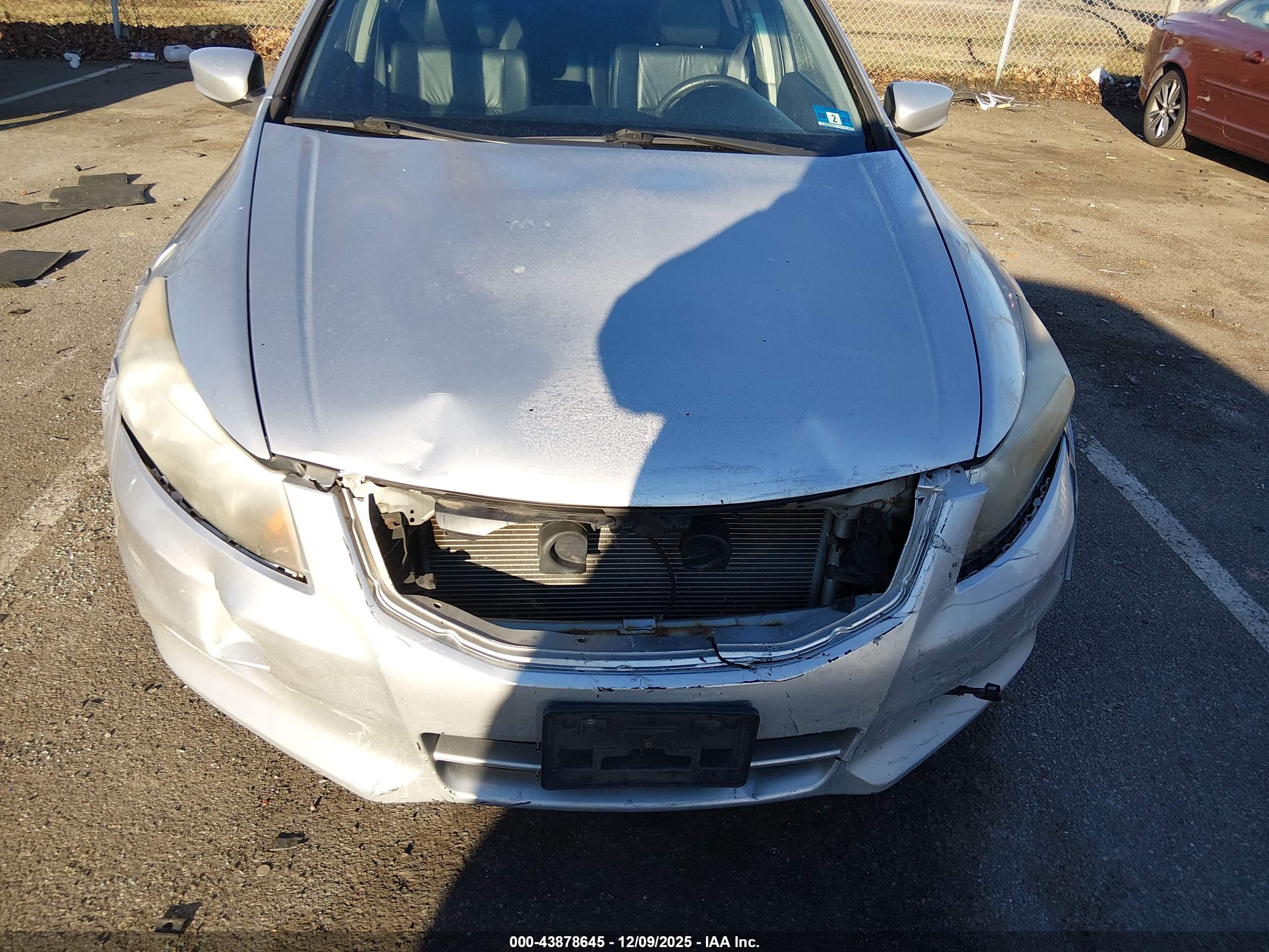 HONDA ACCORD image 6
