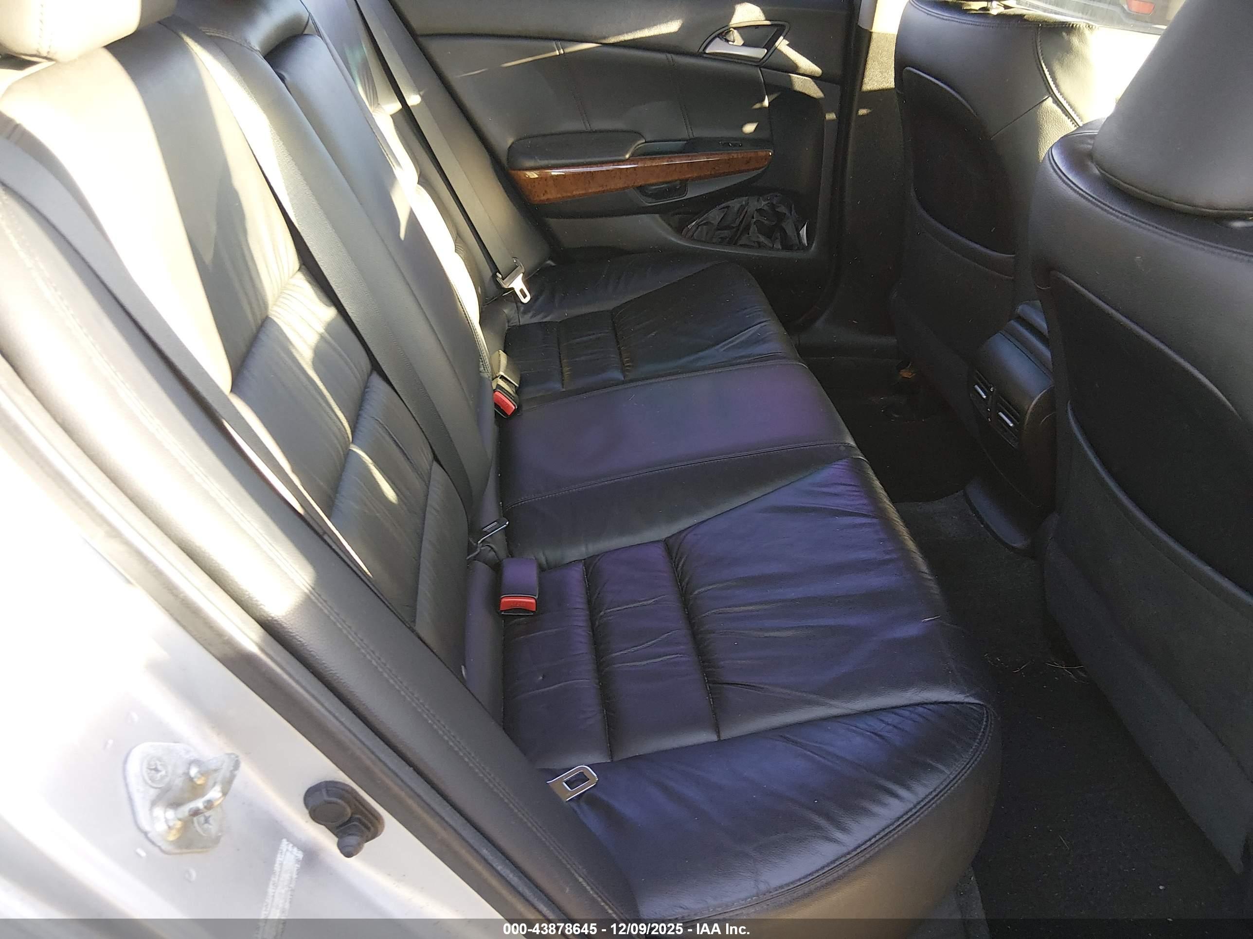 HONDA ACCORD image 8