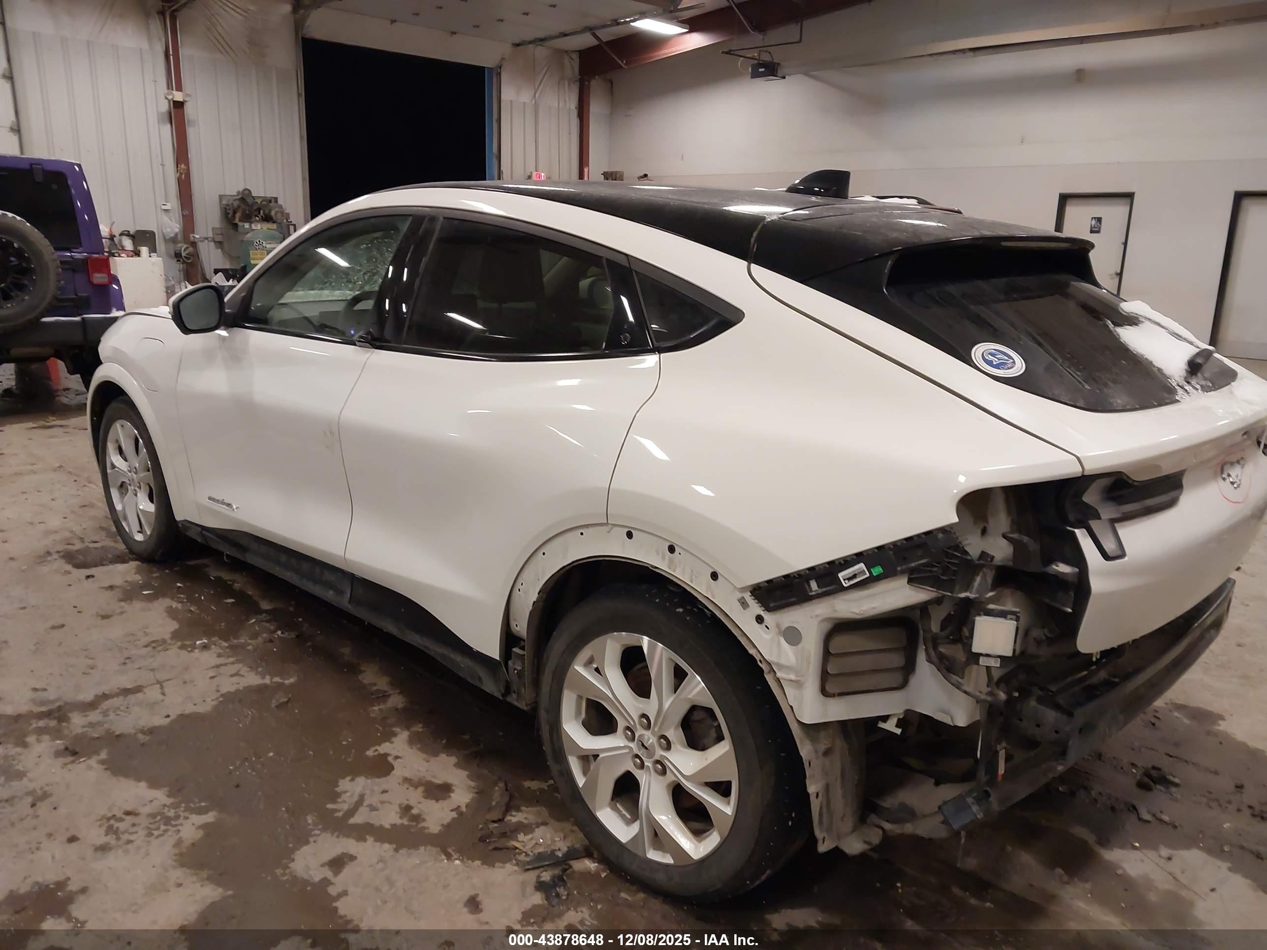 FORD MUSTANG image 3