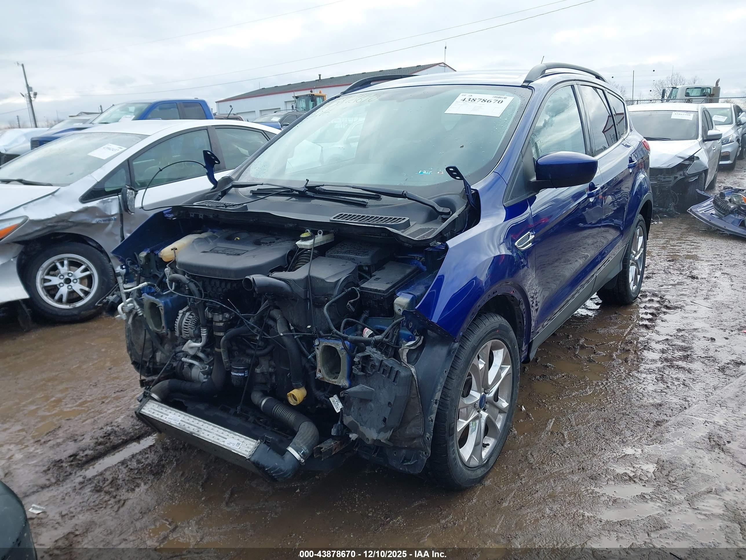 FORD ESCAPE image 2