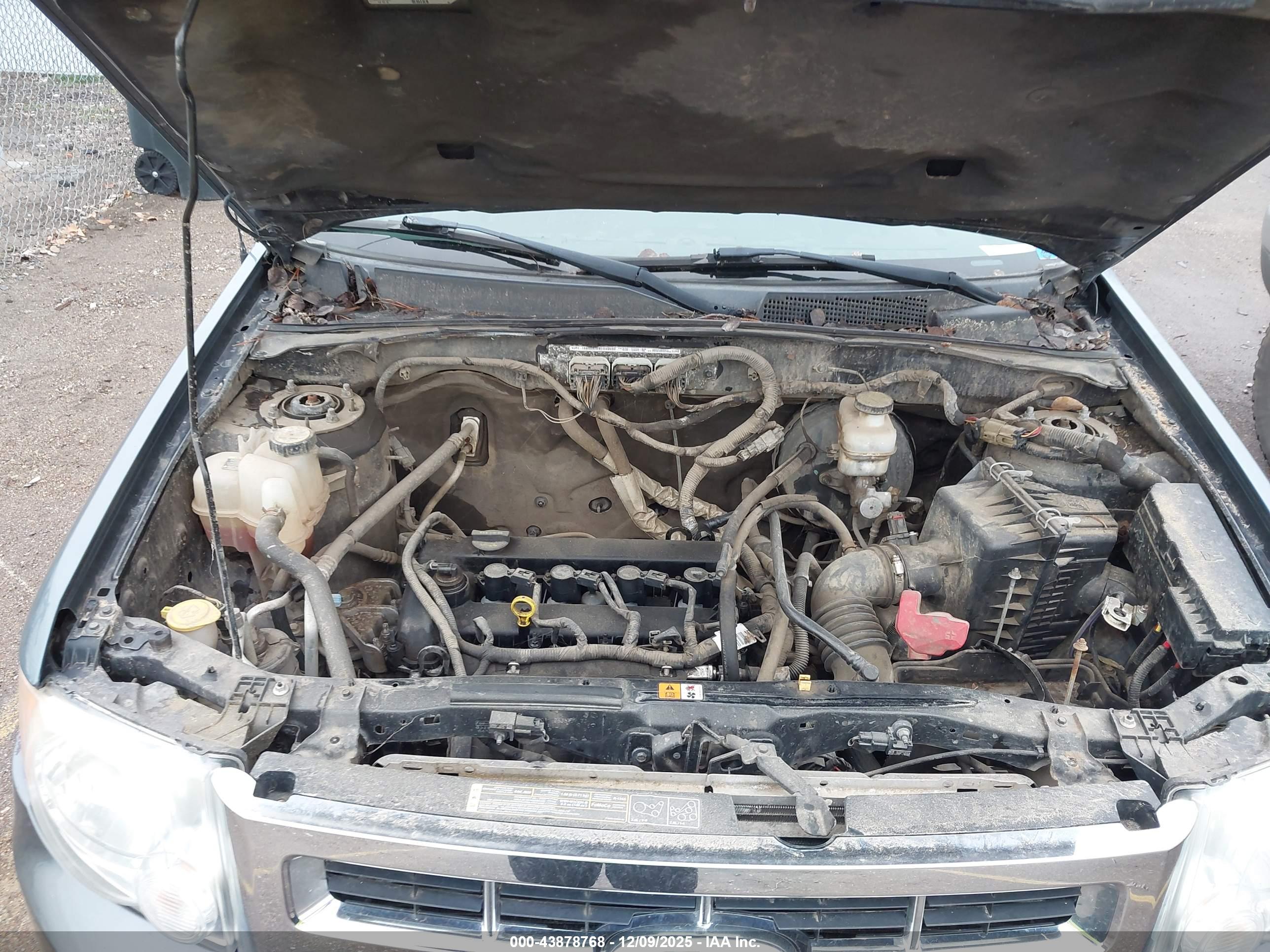 FORD ESCAPE image 10