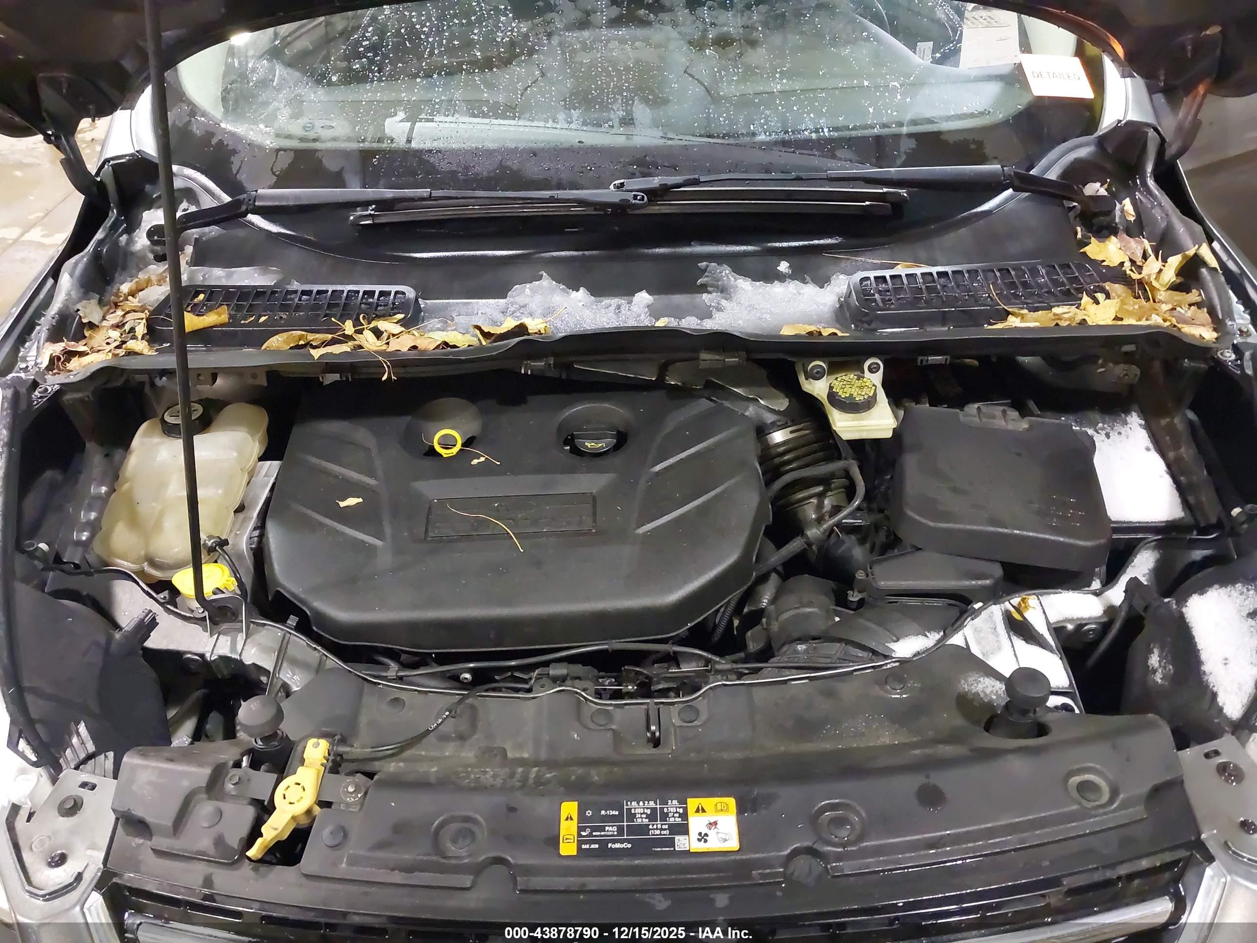 FORD ESCAPE image 10