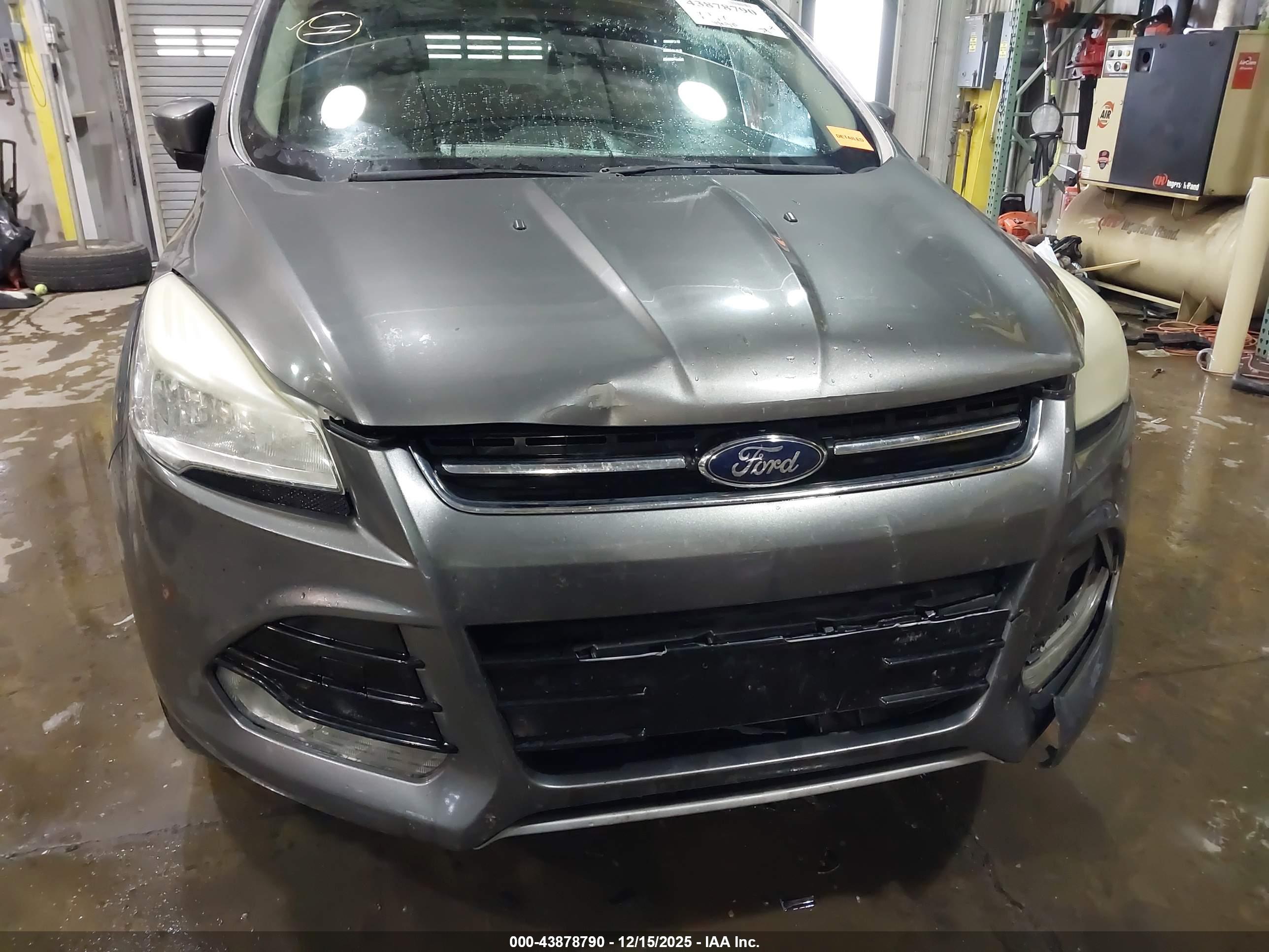FORD ESCAPE image 6