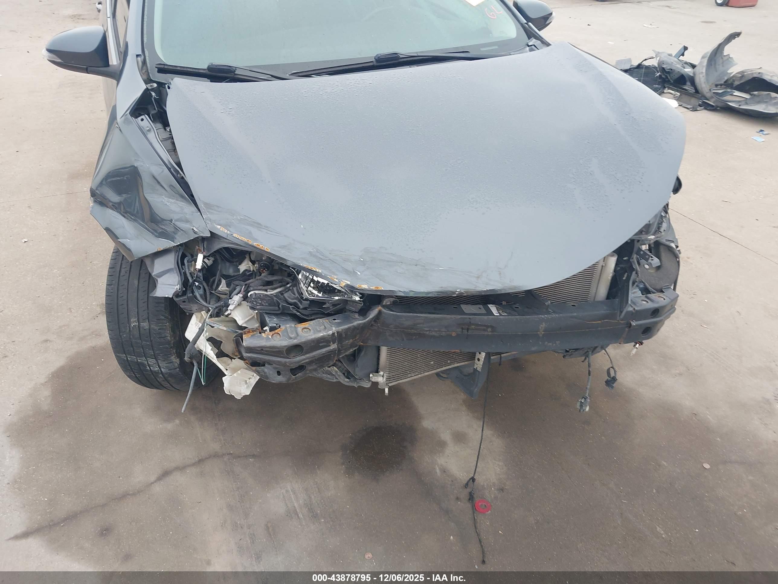 TOYOTA COROLLA image 6