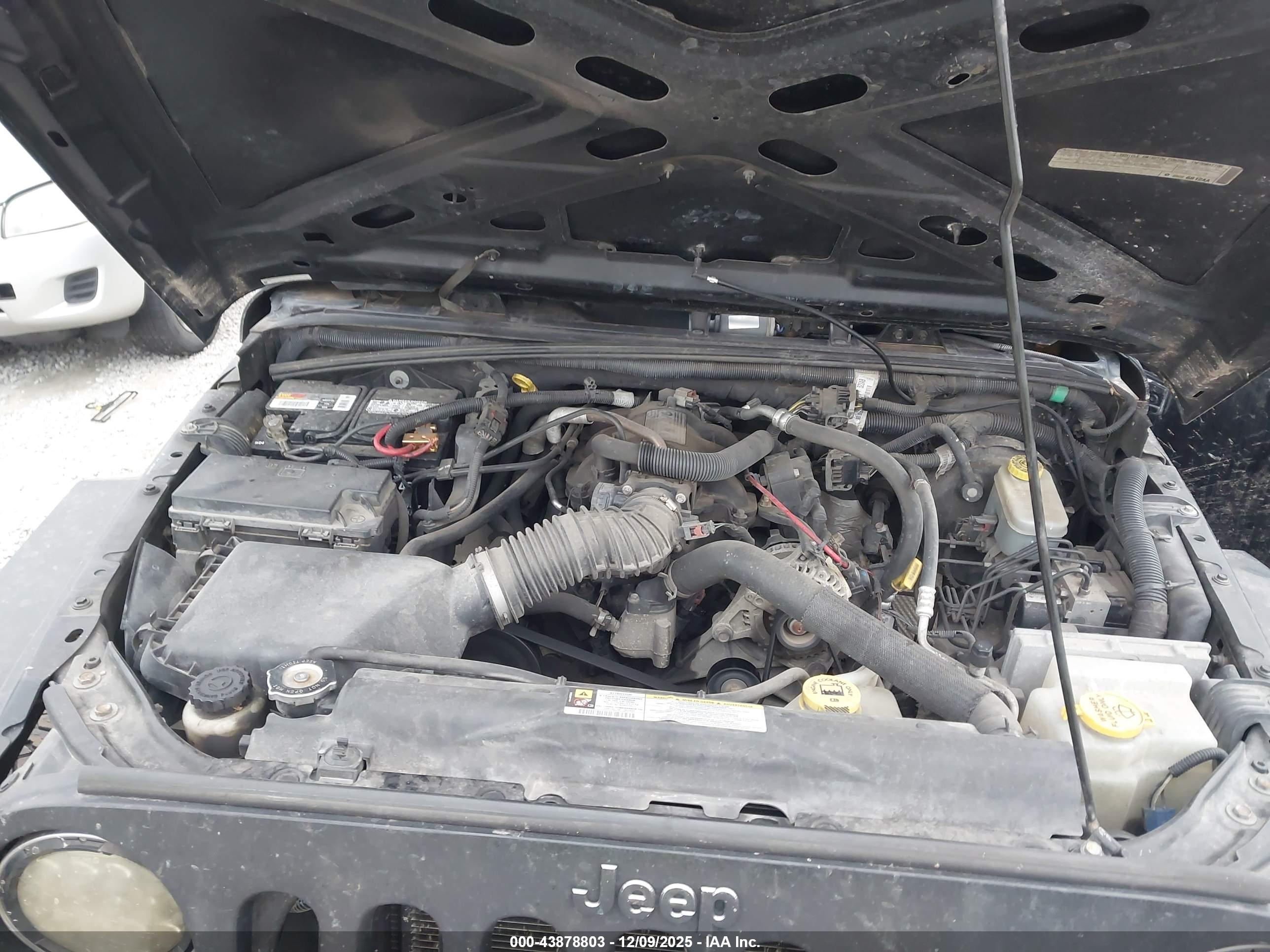 JEEP WRANGLER image 10