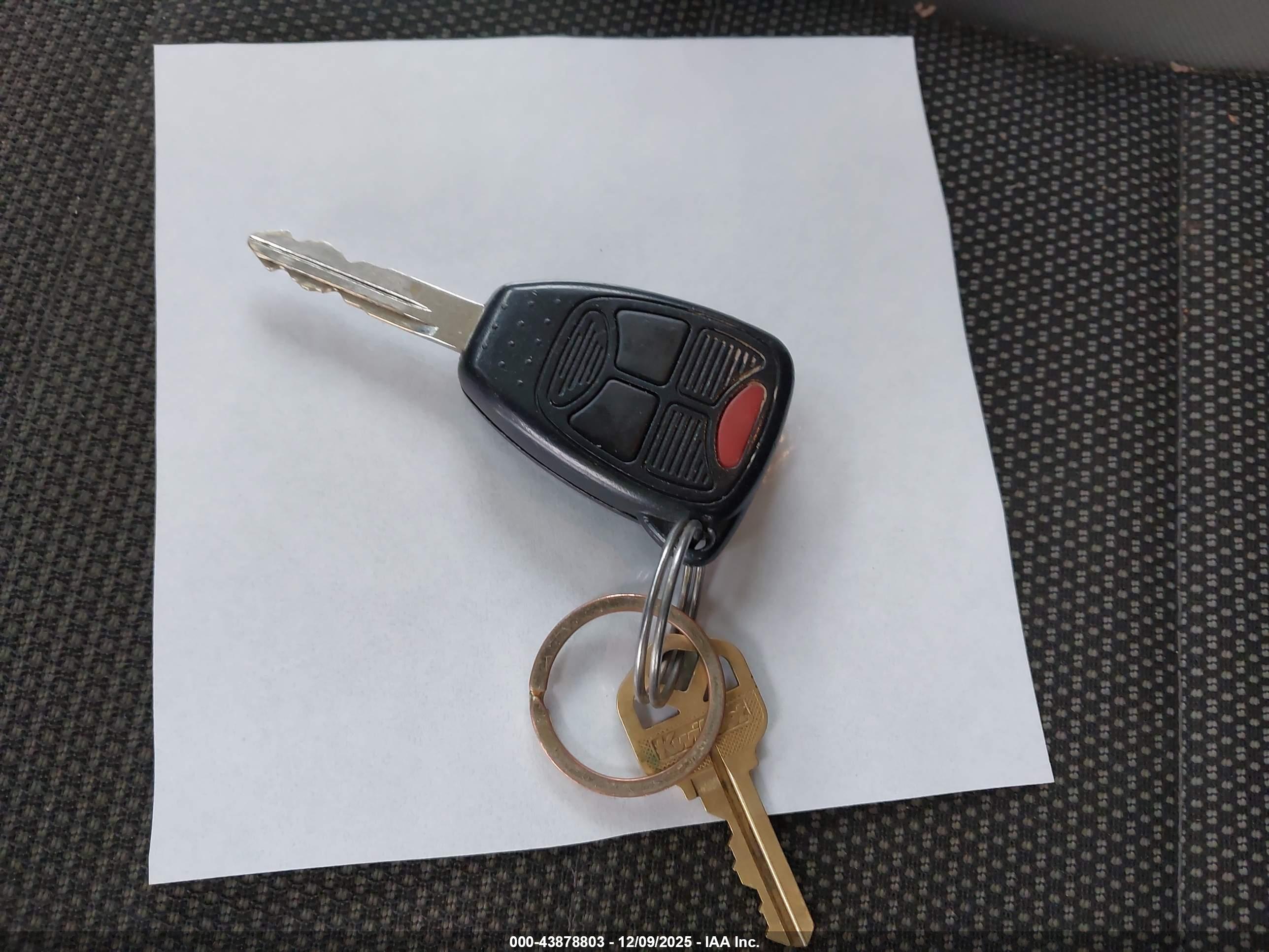JEEP WRANGLER image 11