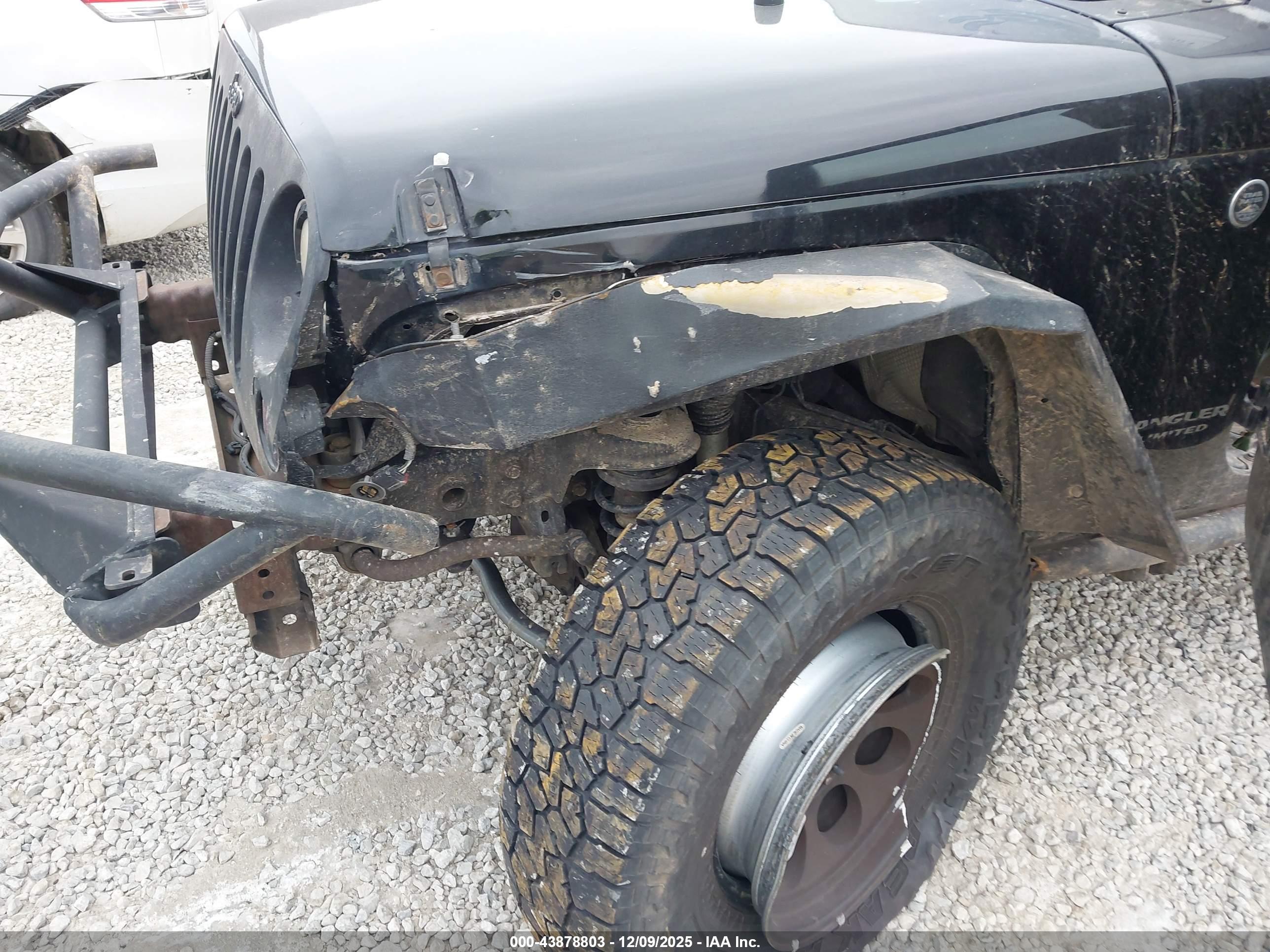 JEEP WRANGLER image 6