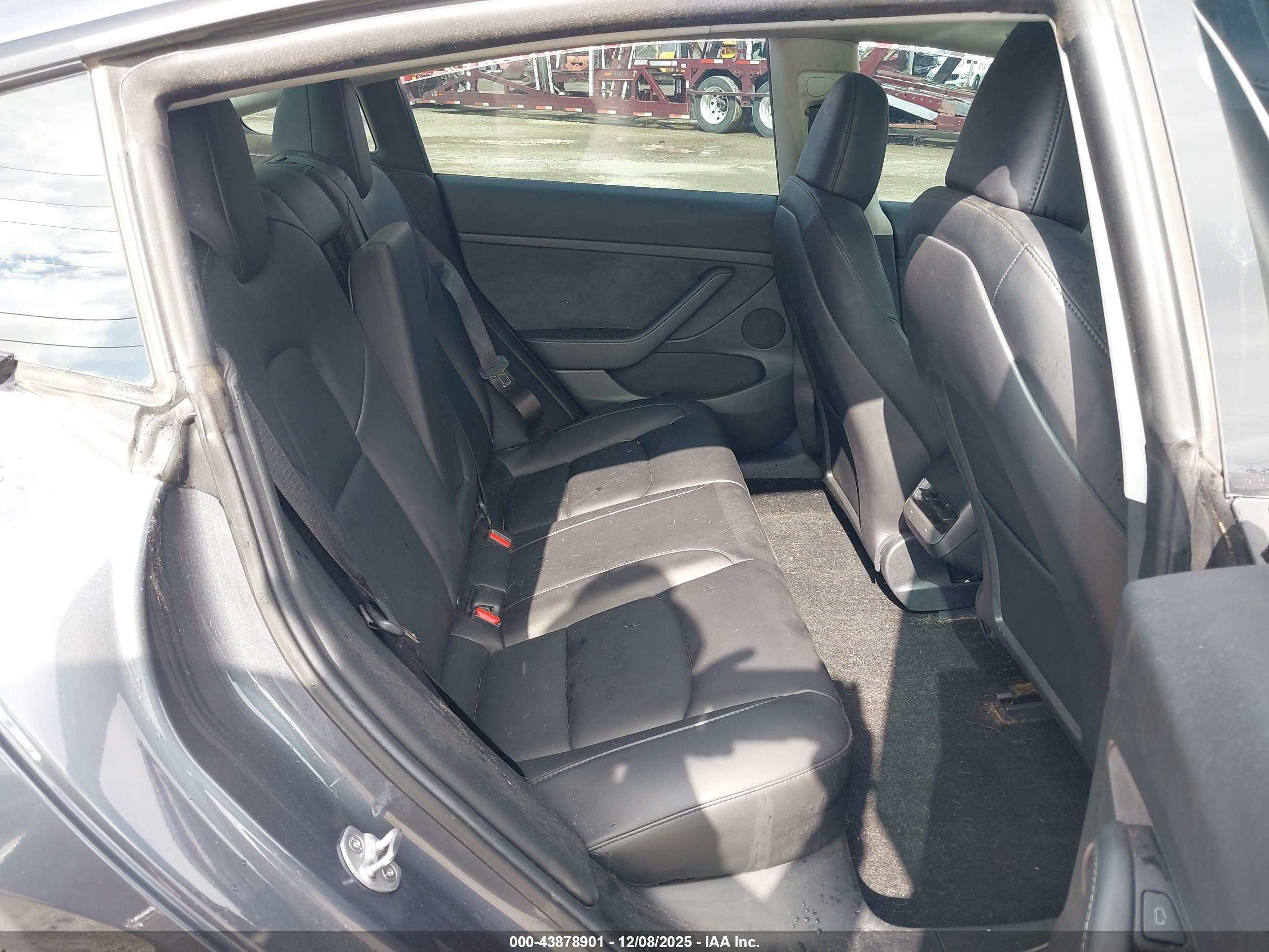 TESLA MODEL image 8