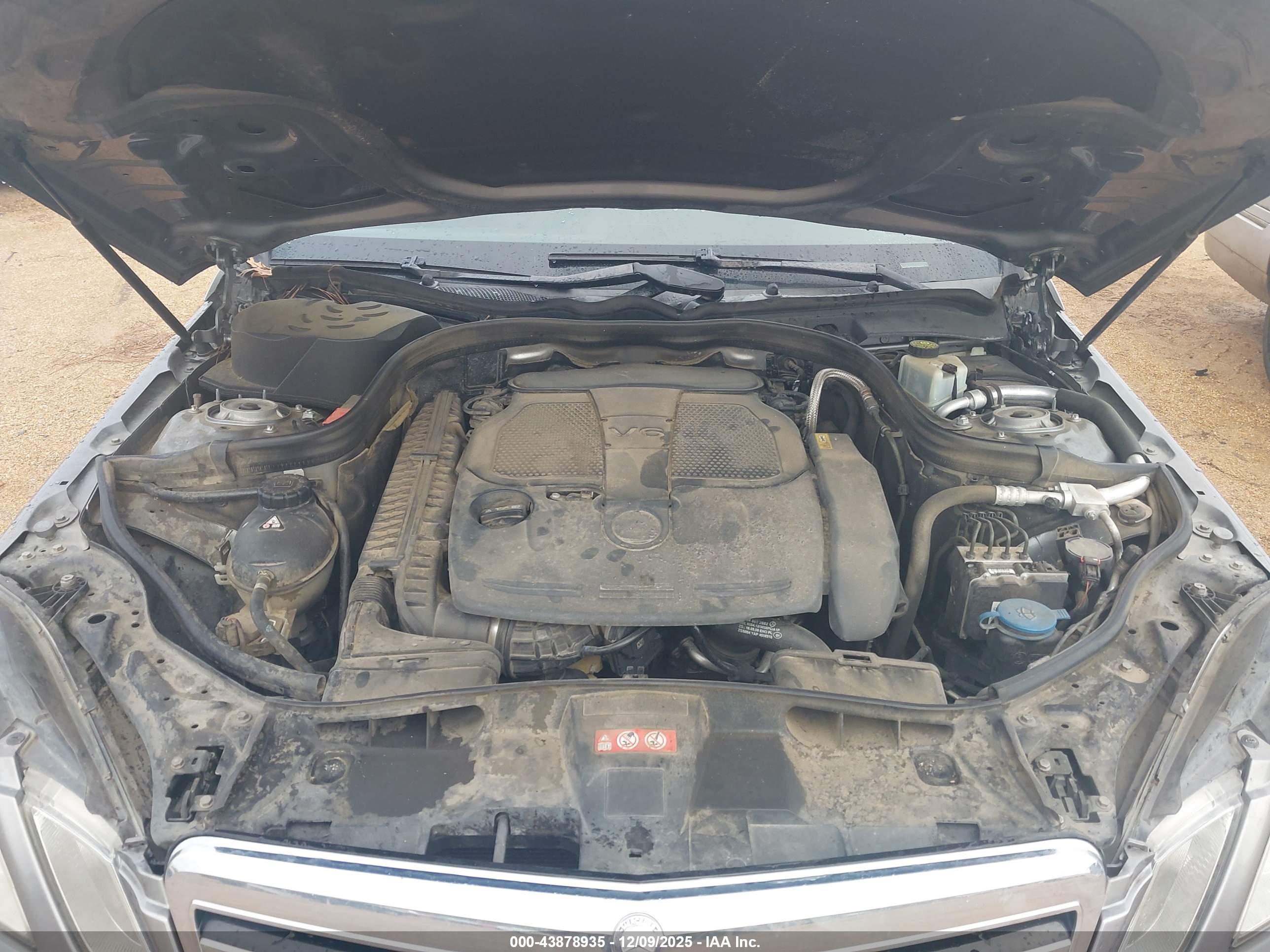 MERCEDES-BENZ E image 10