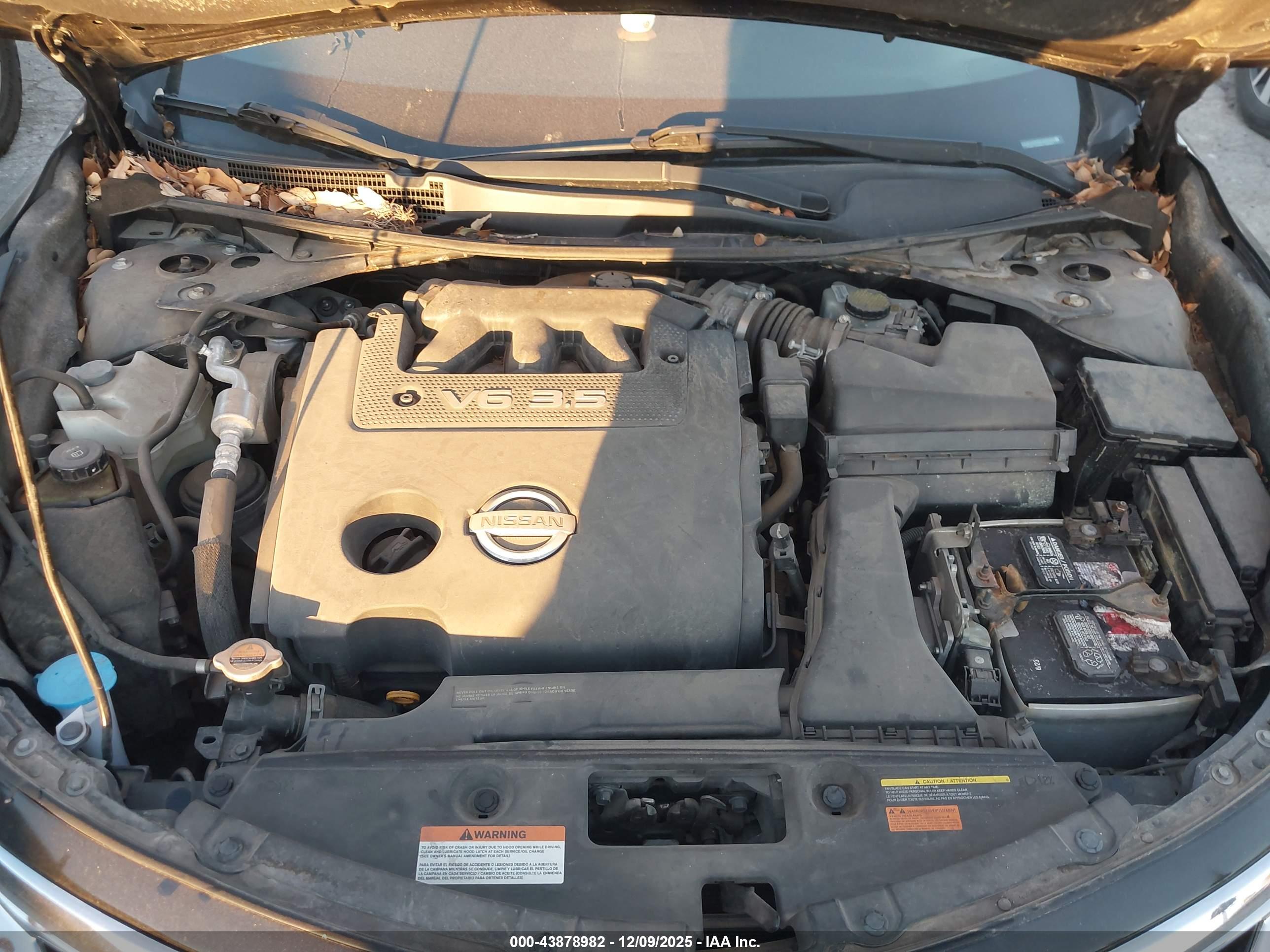 NISSAN ALTIMA image 10