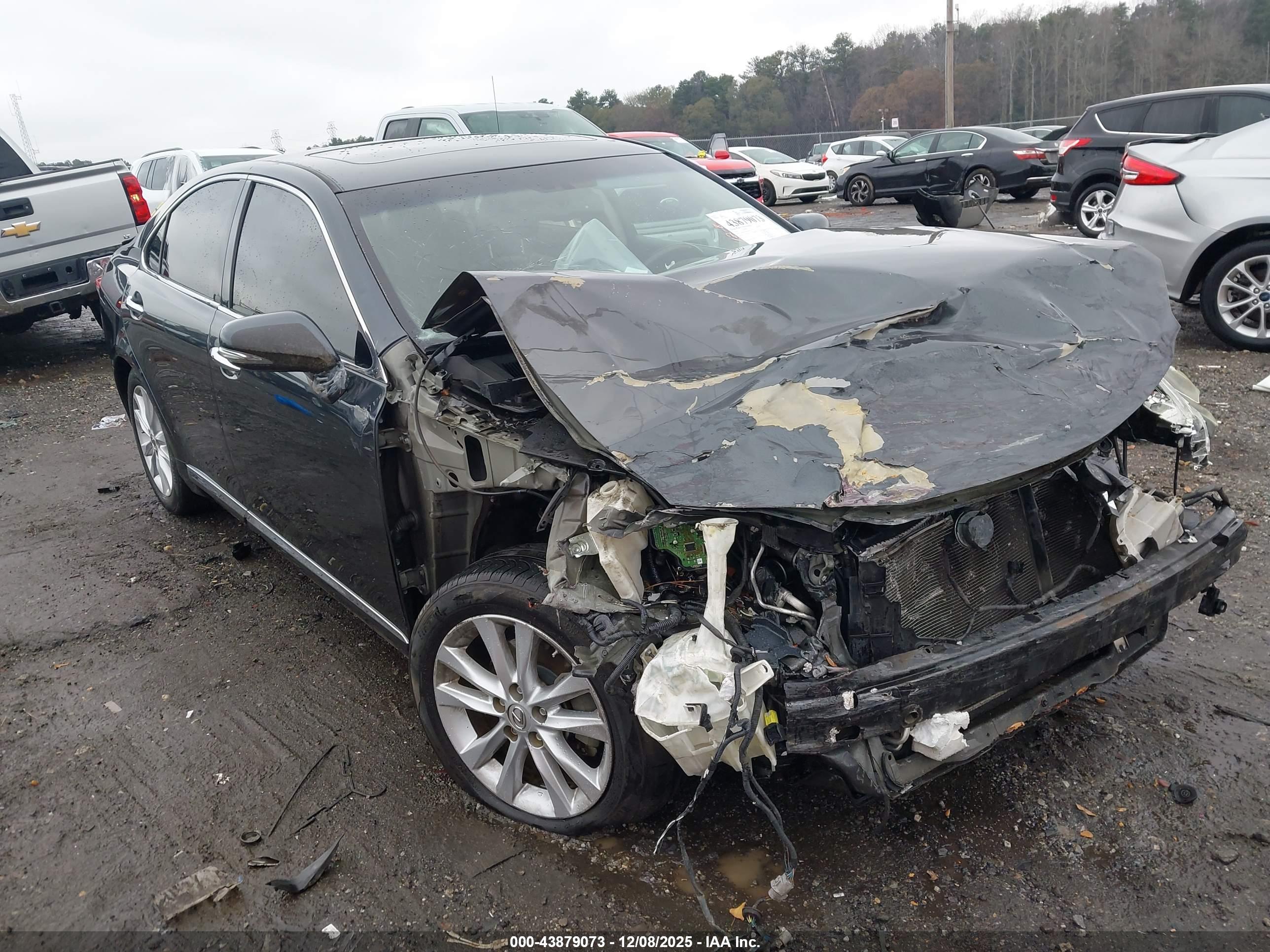 LEXUS ES image 6