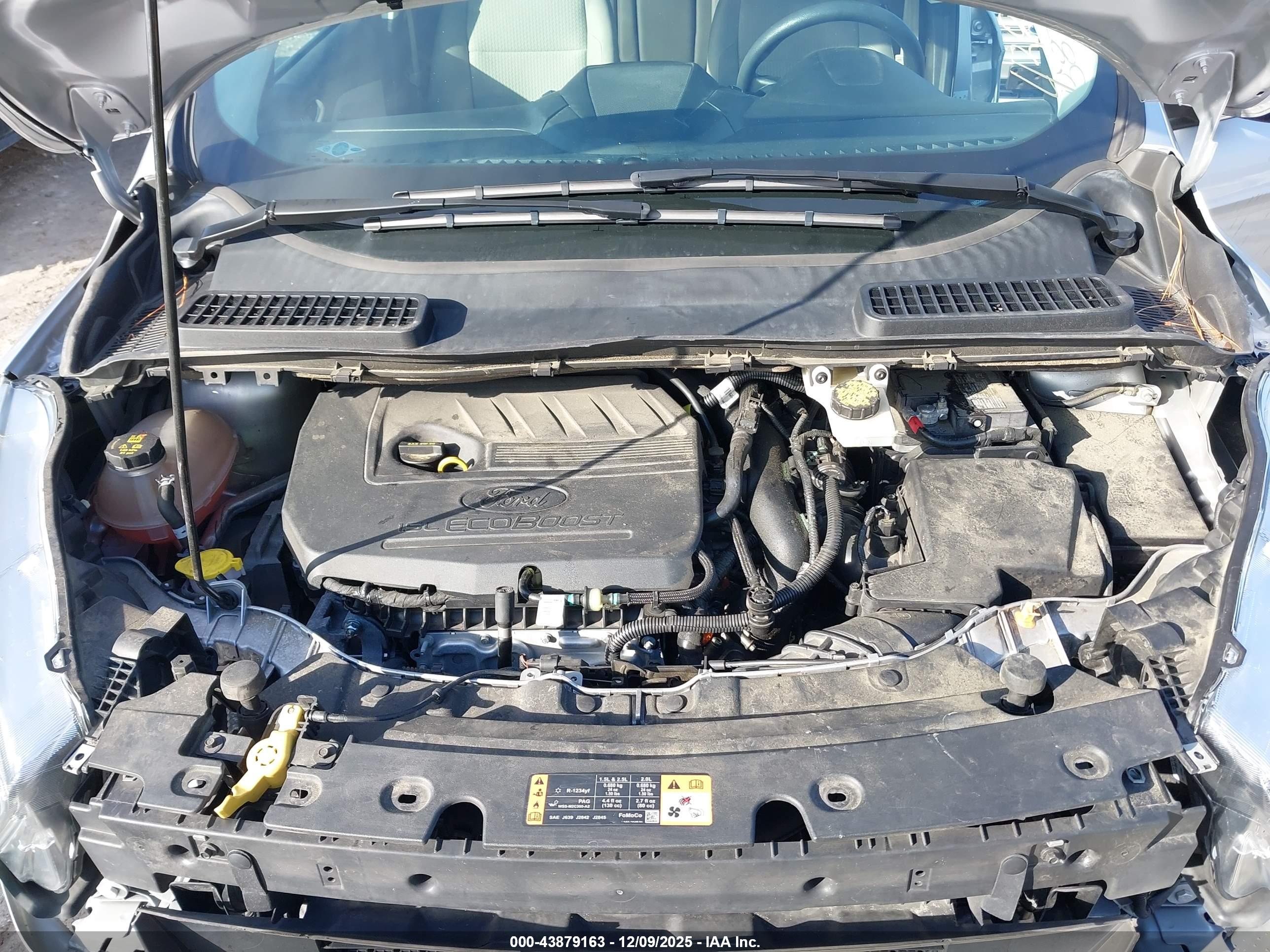 FORD ESCAPE image 10