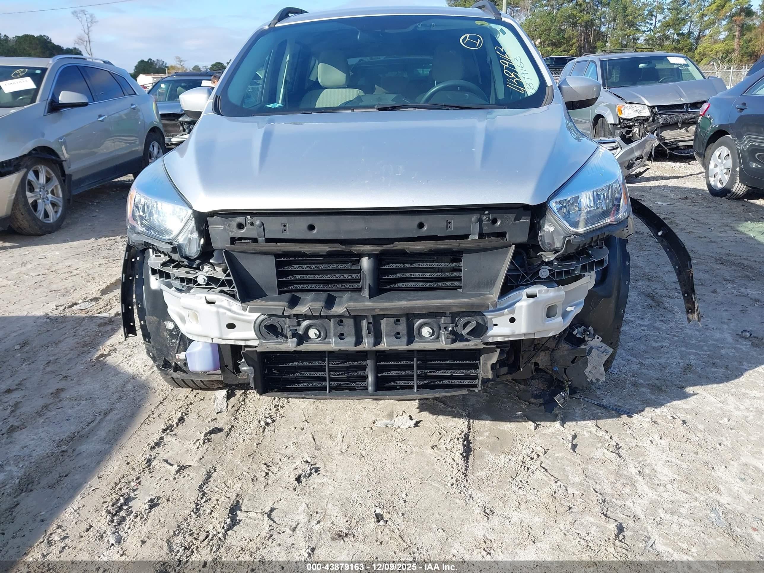 FORD ESCAPE image 6