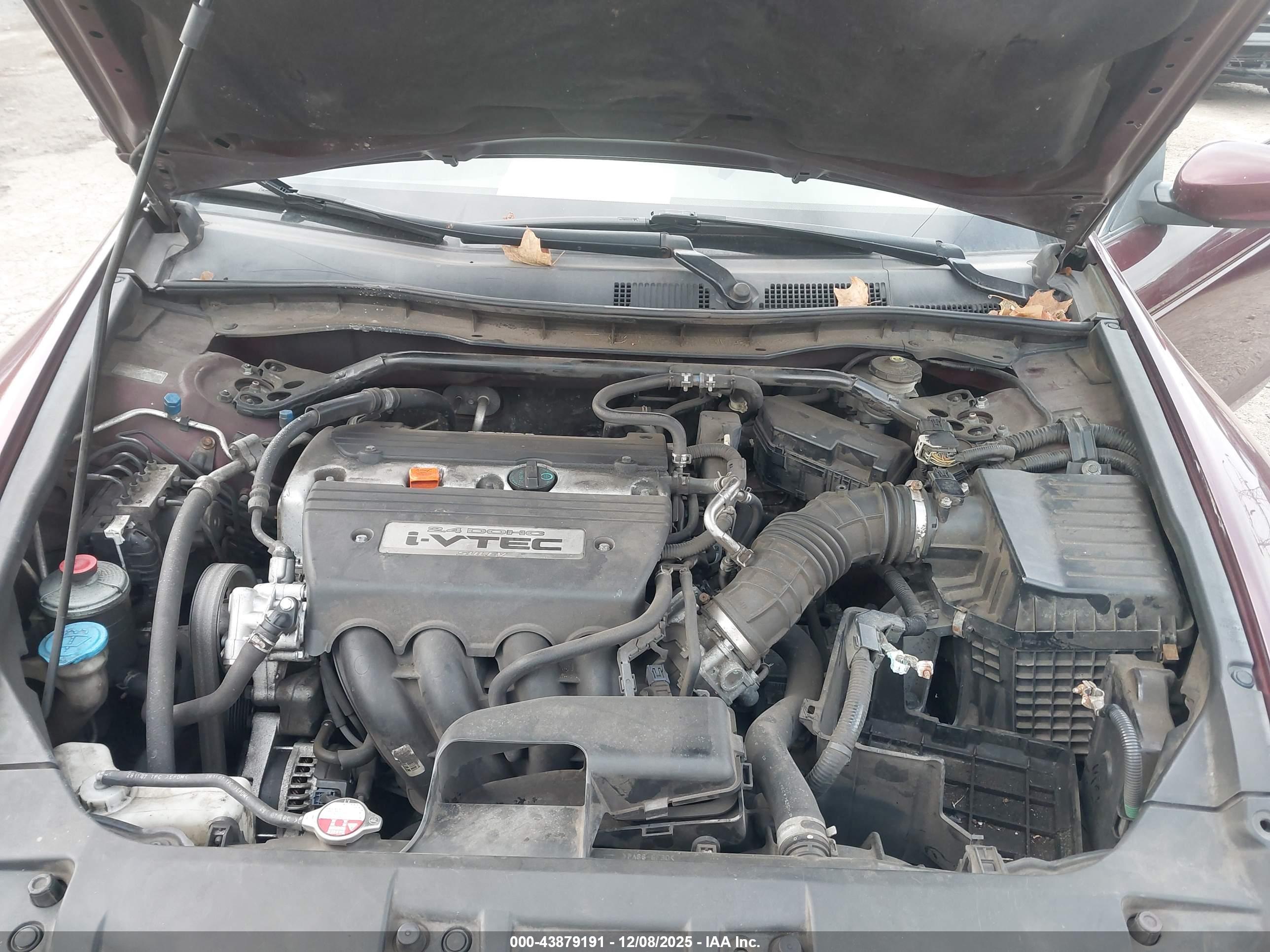 HONDA ACCORD image 10