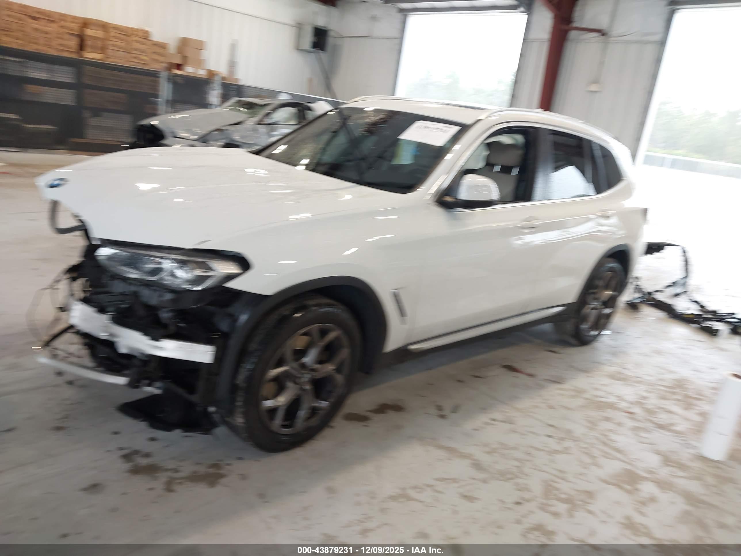 BMW X3 image 2