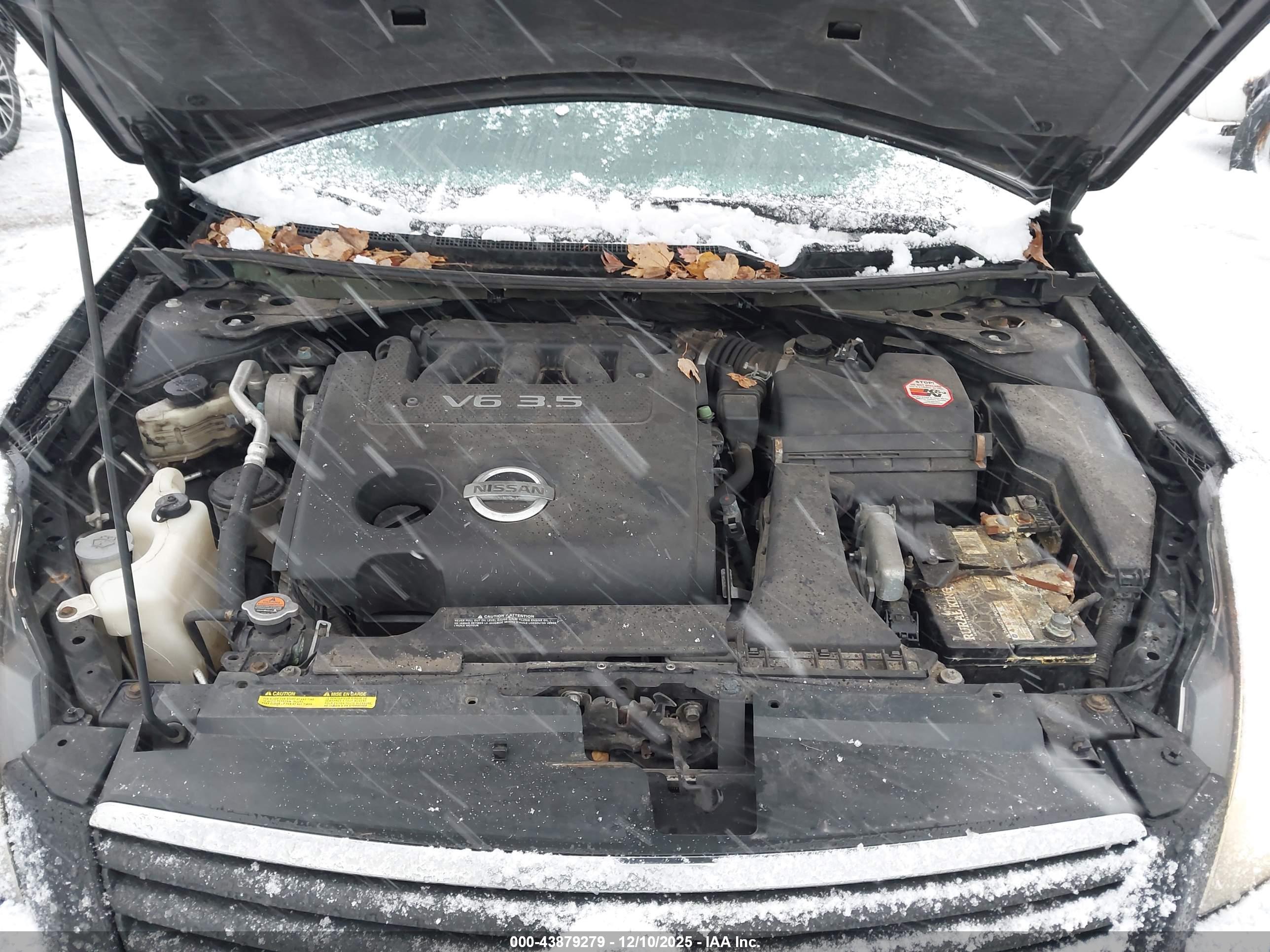 NISSAN ALTIMA image 10