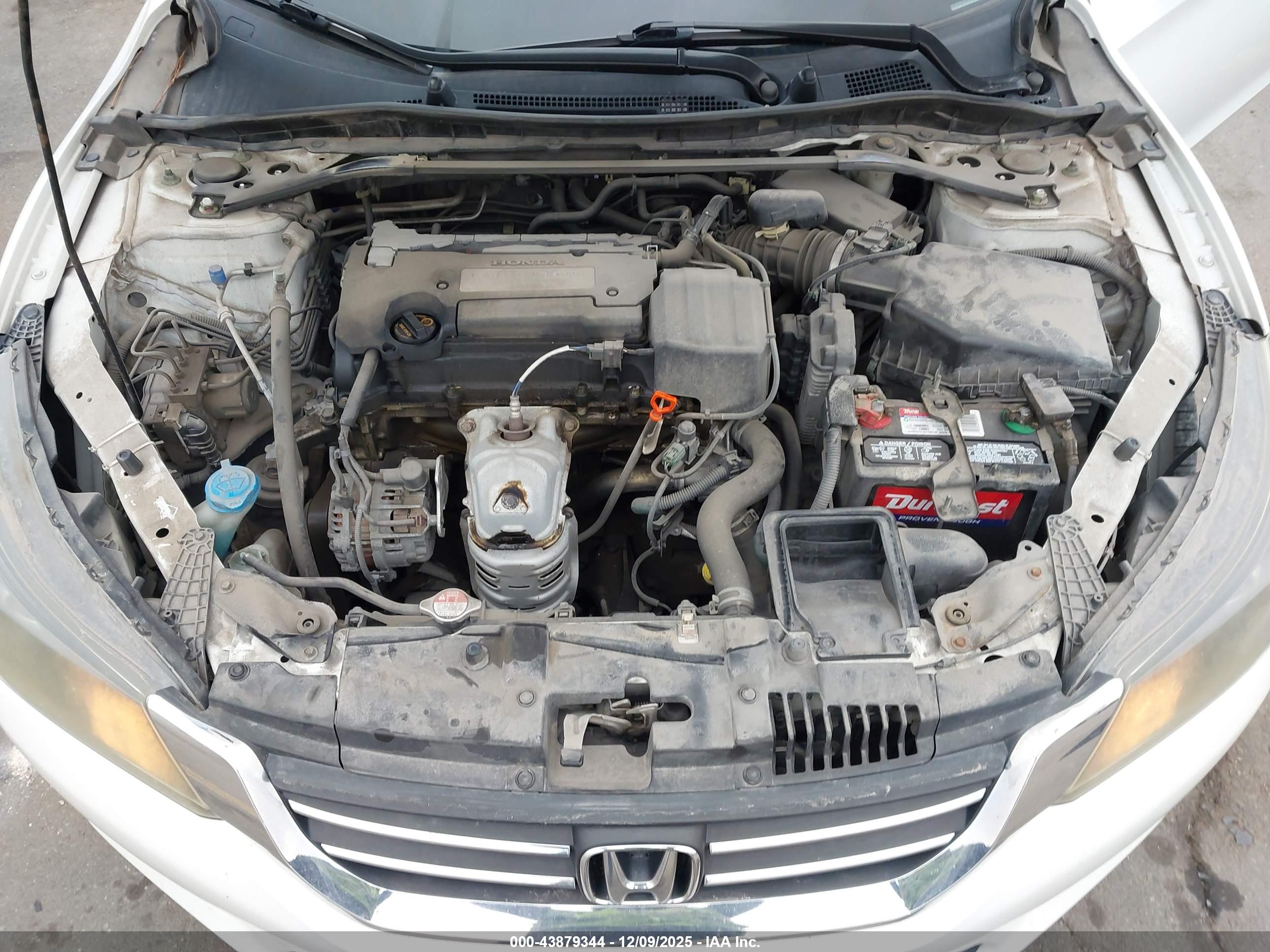 HONDA ACCORD image 10