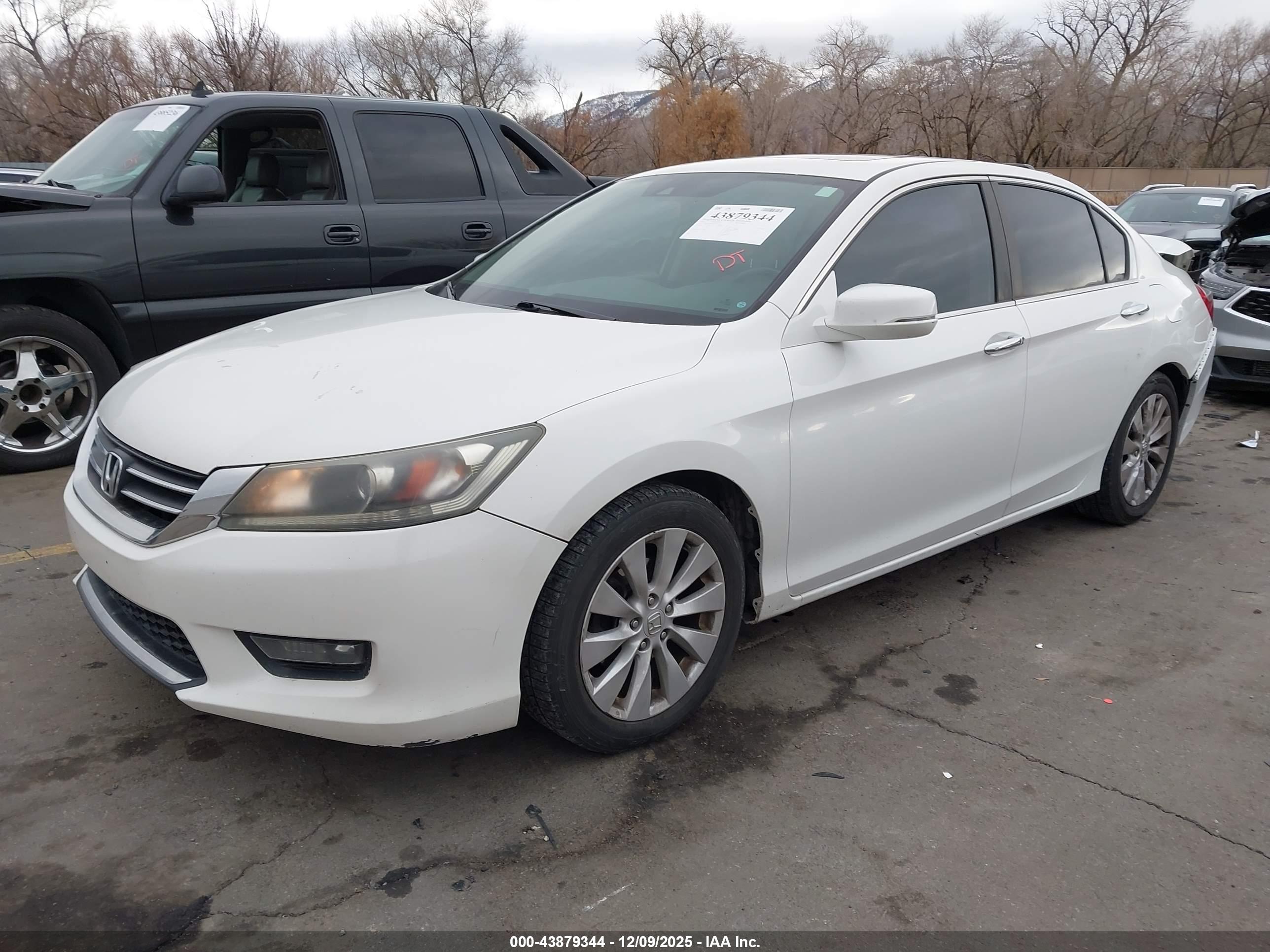 HONDA ACCORD image 2