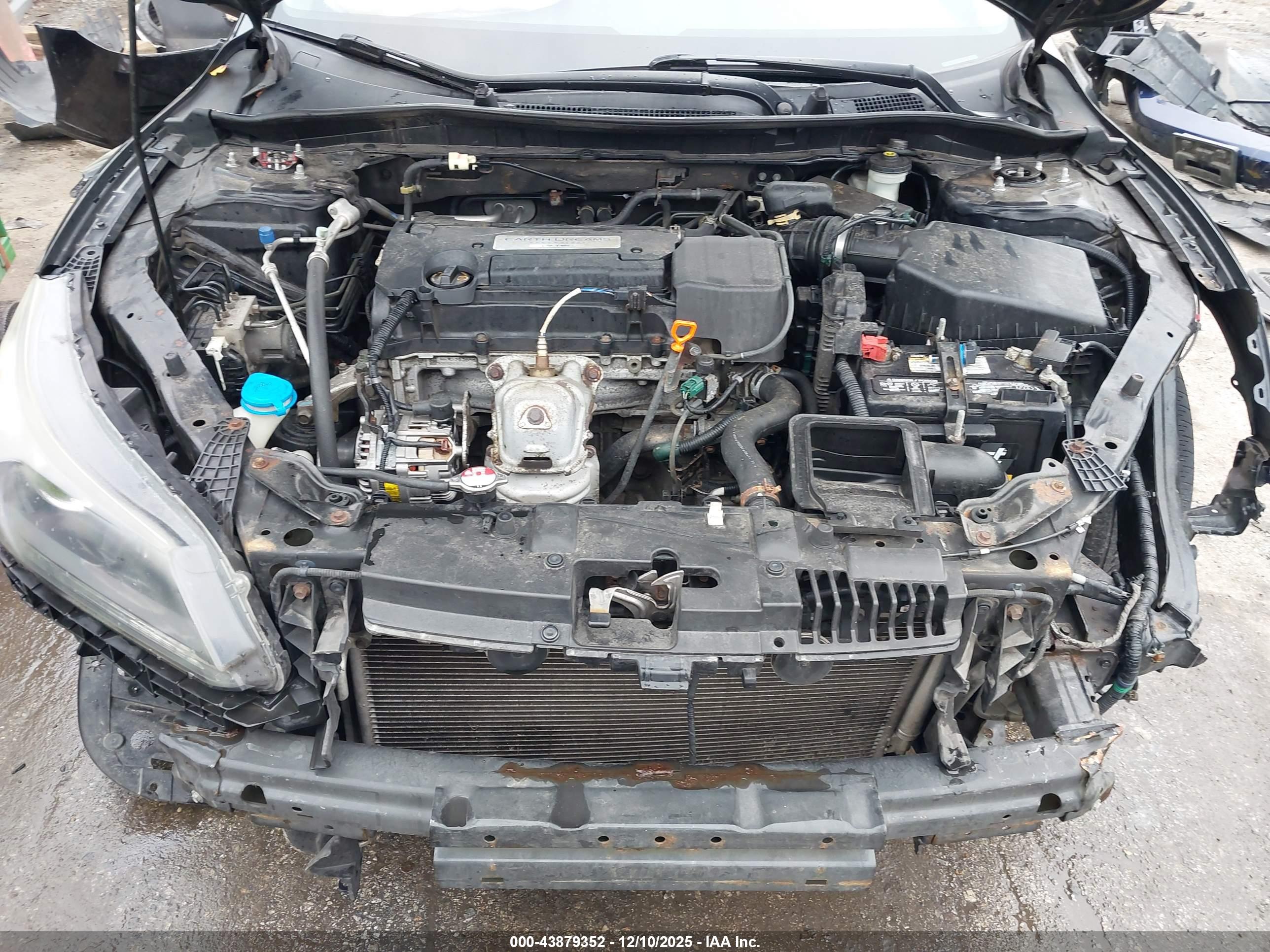HONDA ACCORD image 10