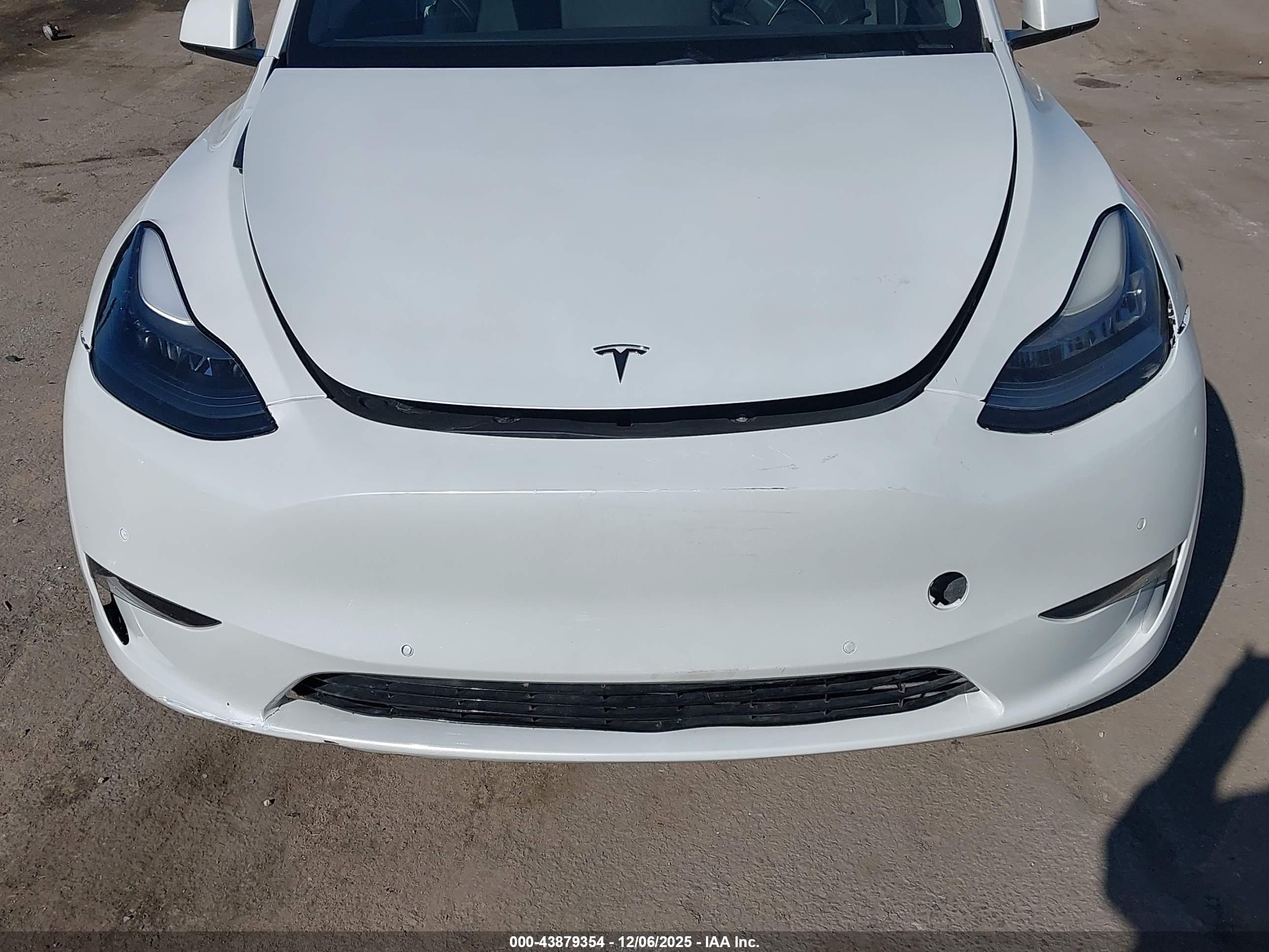 TESLA MODEL image 6