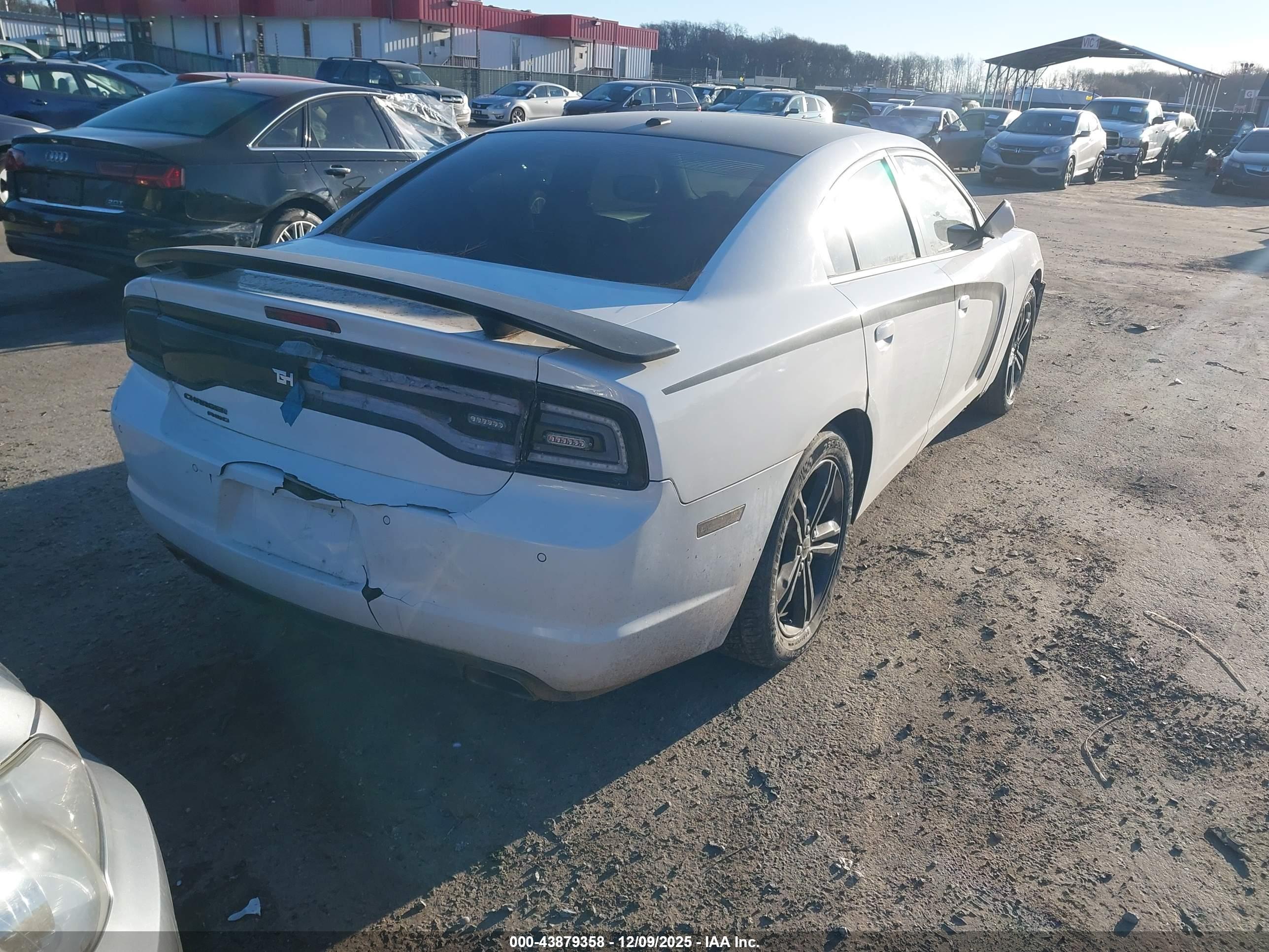 DODGE CHARGER image 4
