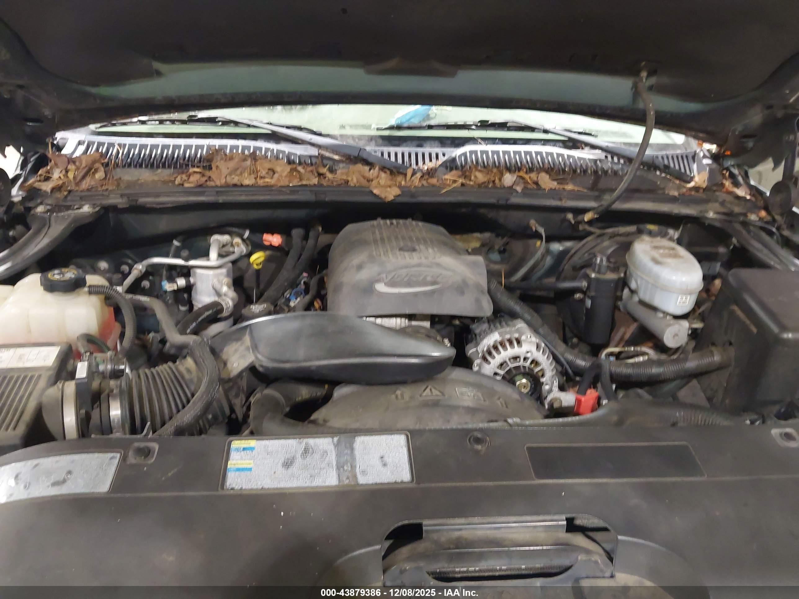 CHEVROLET SILVERADO image 10
