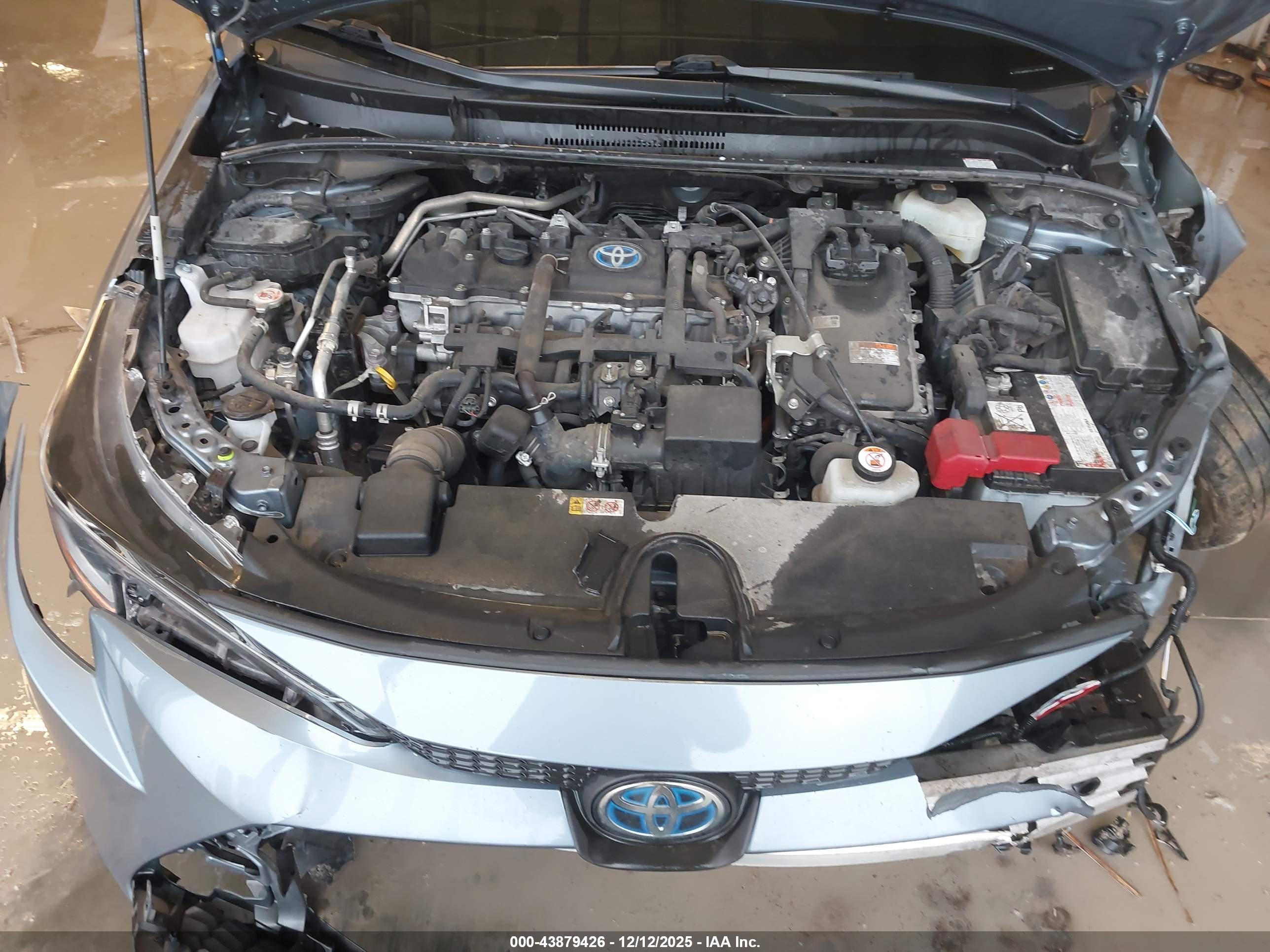 TOYOTA COROLLA image 10