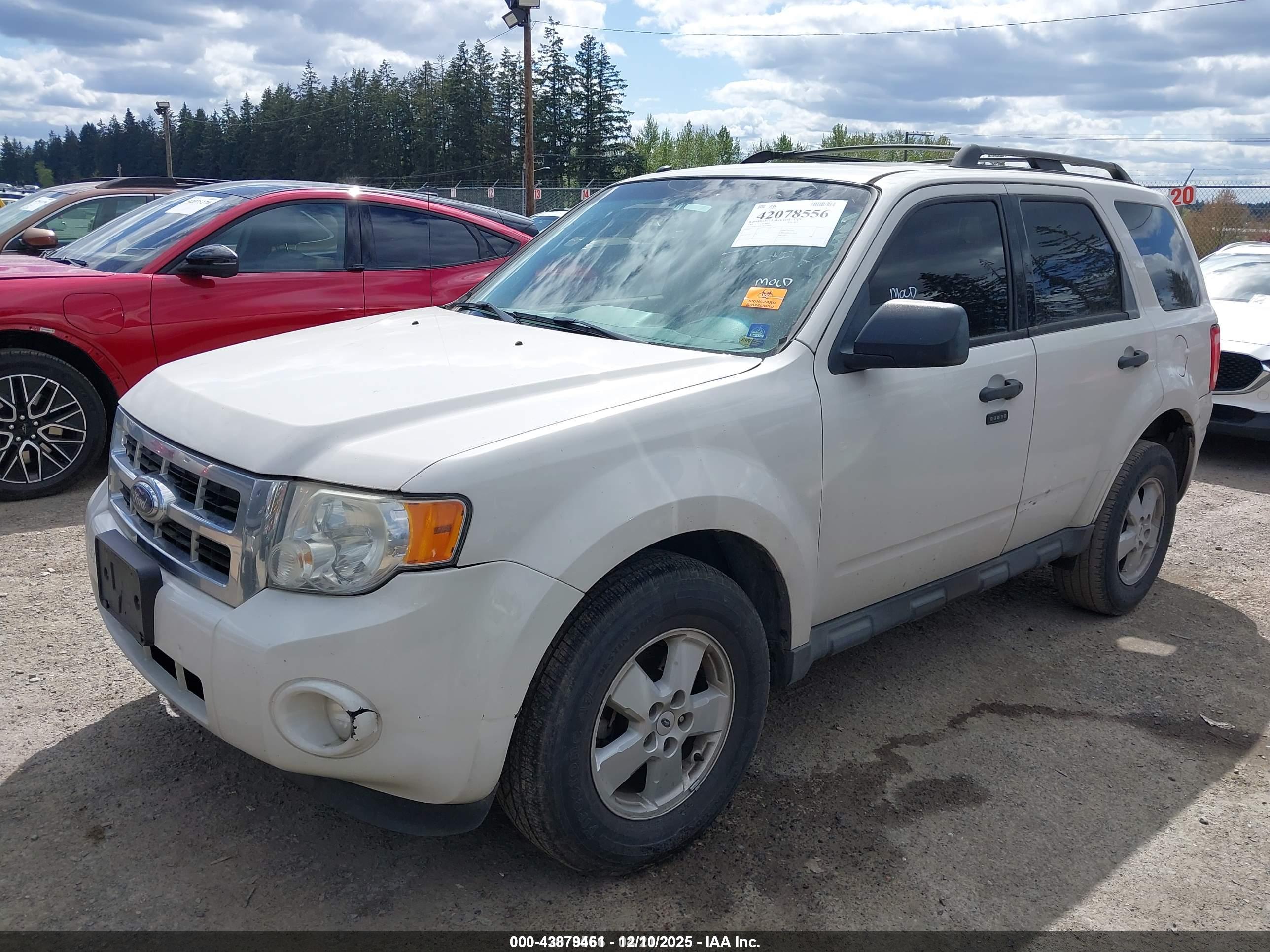 FORD ESCAPE image 2