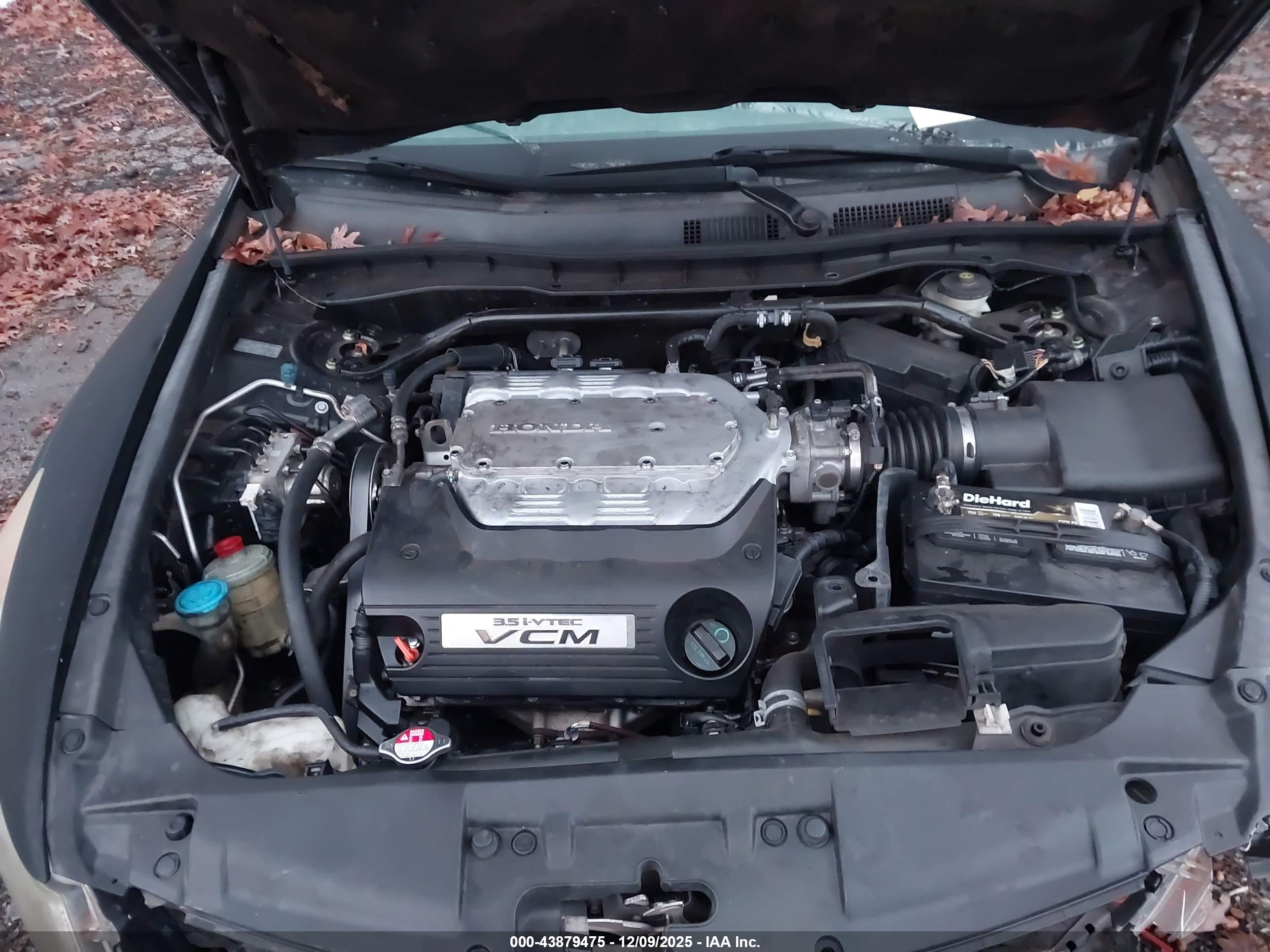 HONDA ACCORD image 10
