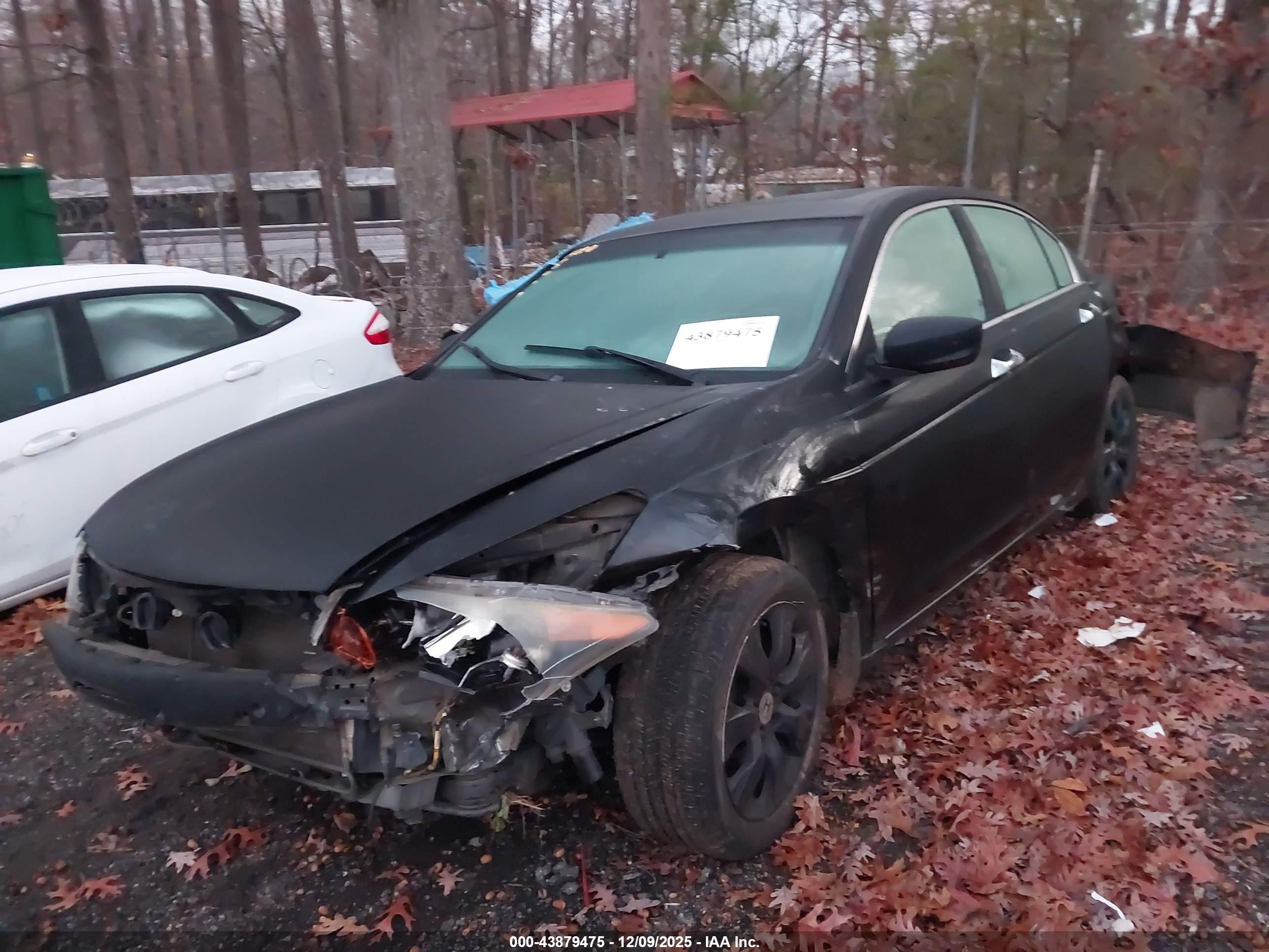 HONDA ACCORD image 2