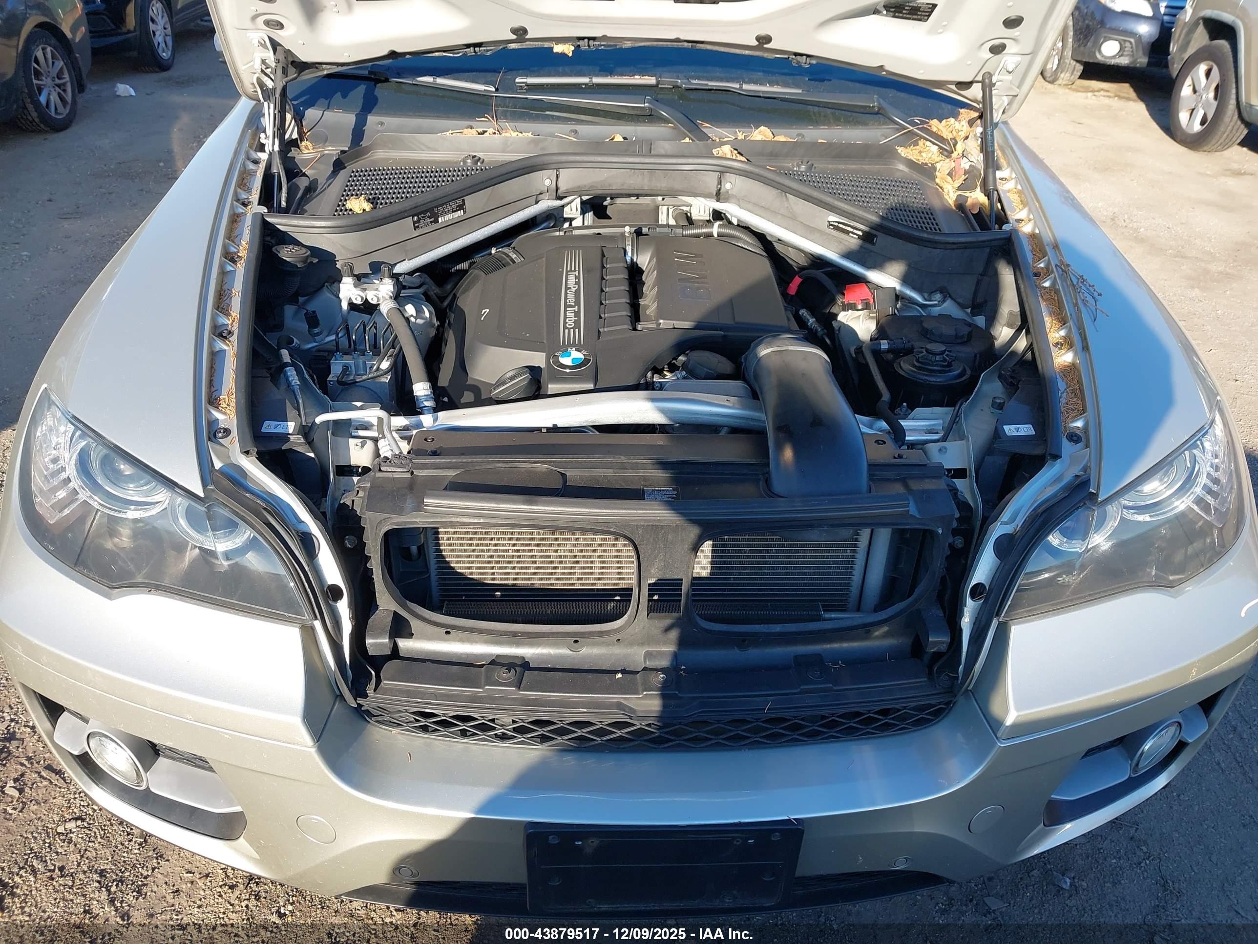 BMW X6 image 10
