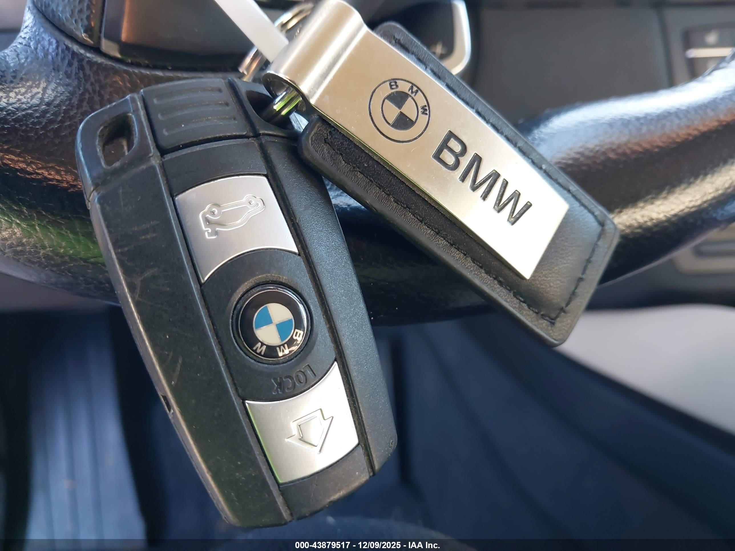 BMW X6 image 11