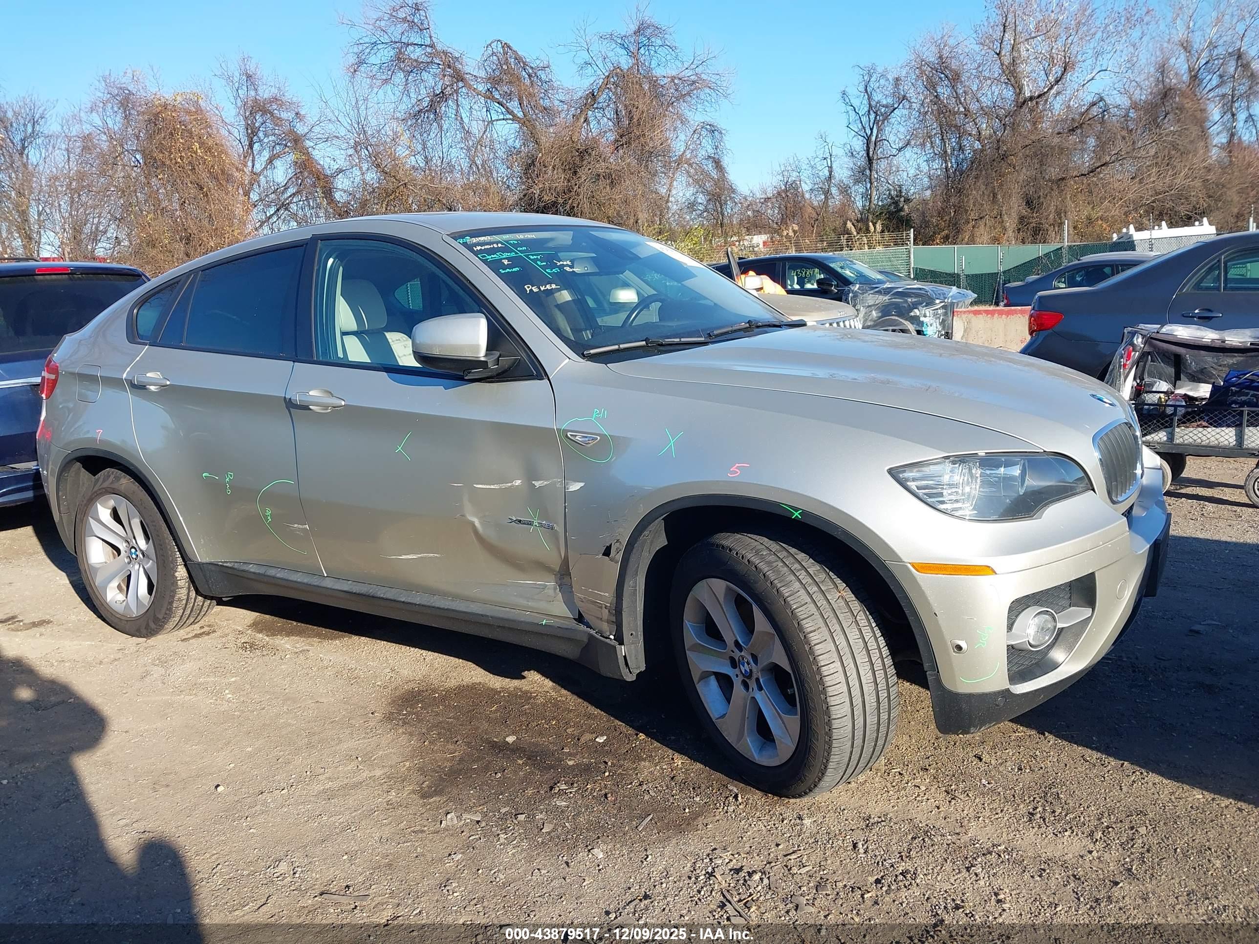 BMW X6 image 6