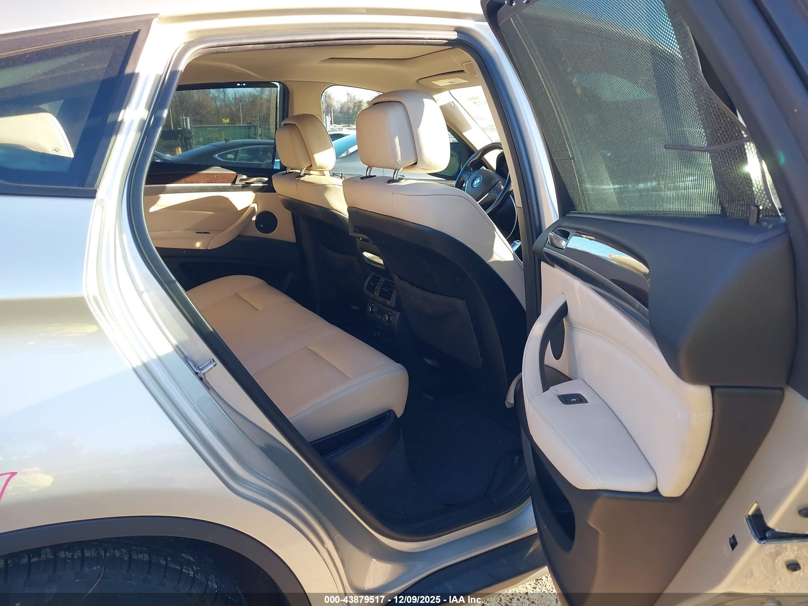 BMW X6 image 8