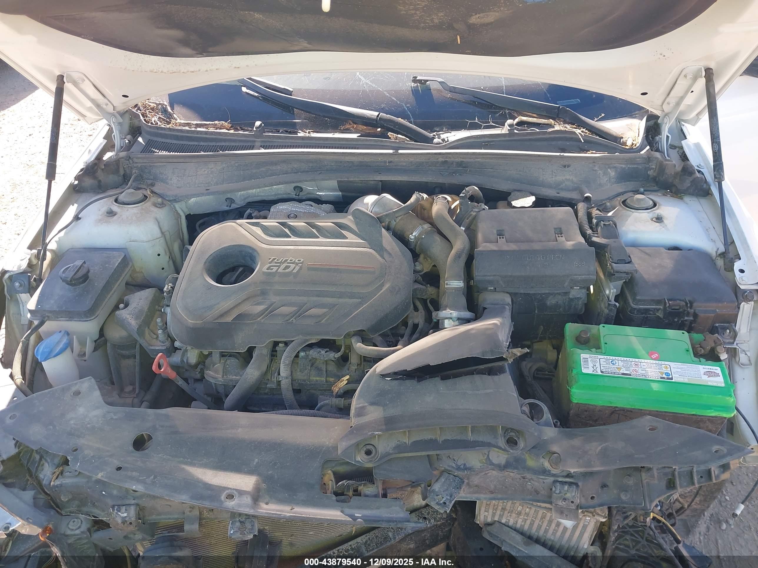 KIA OPTIMA image 10