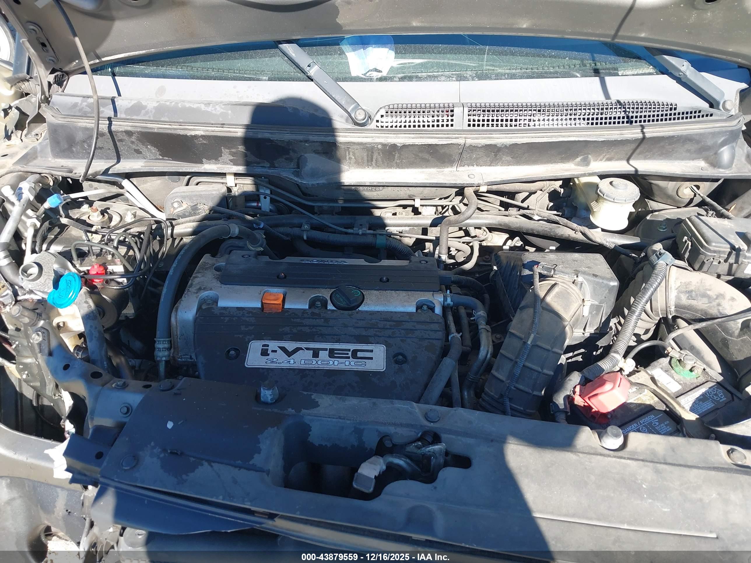 HONDA ELEMENT image 10