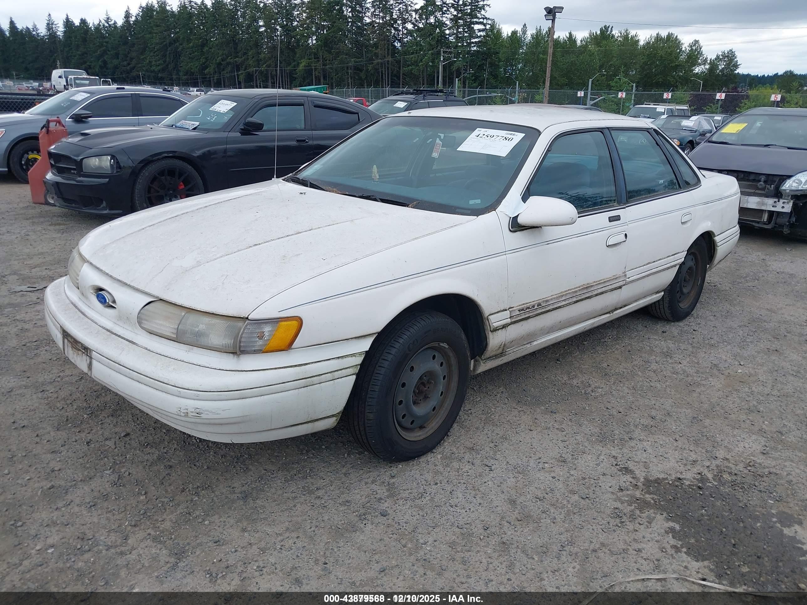FORD TAURUS image 2