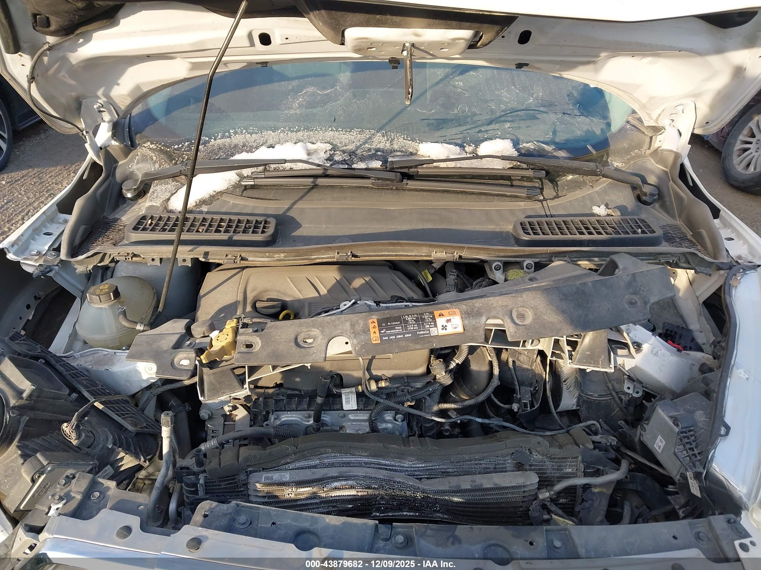 FORD ESCAPE image 10