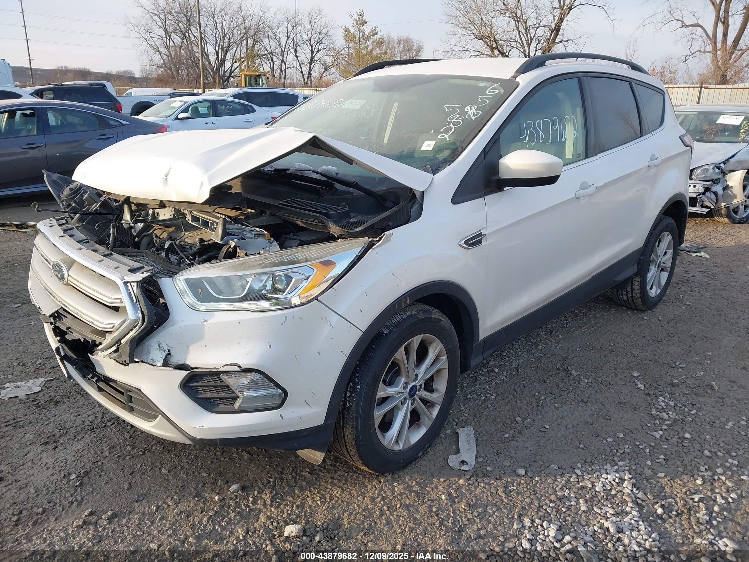 FORD ESCAPE image 2