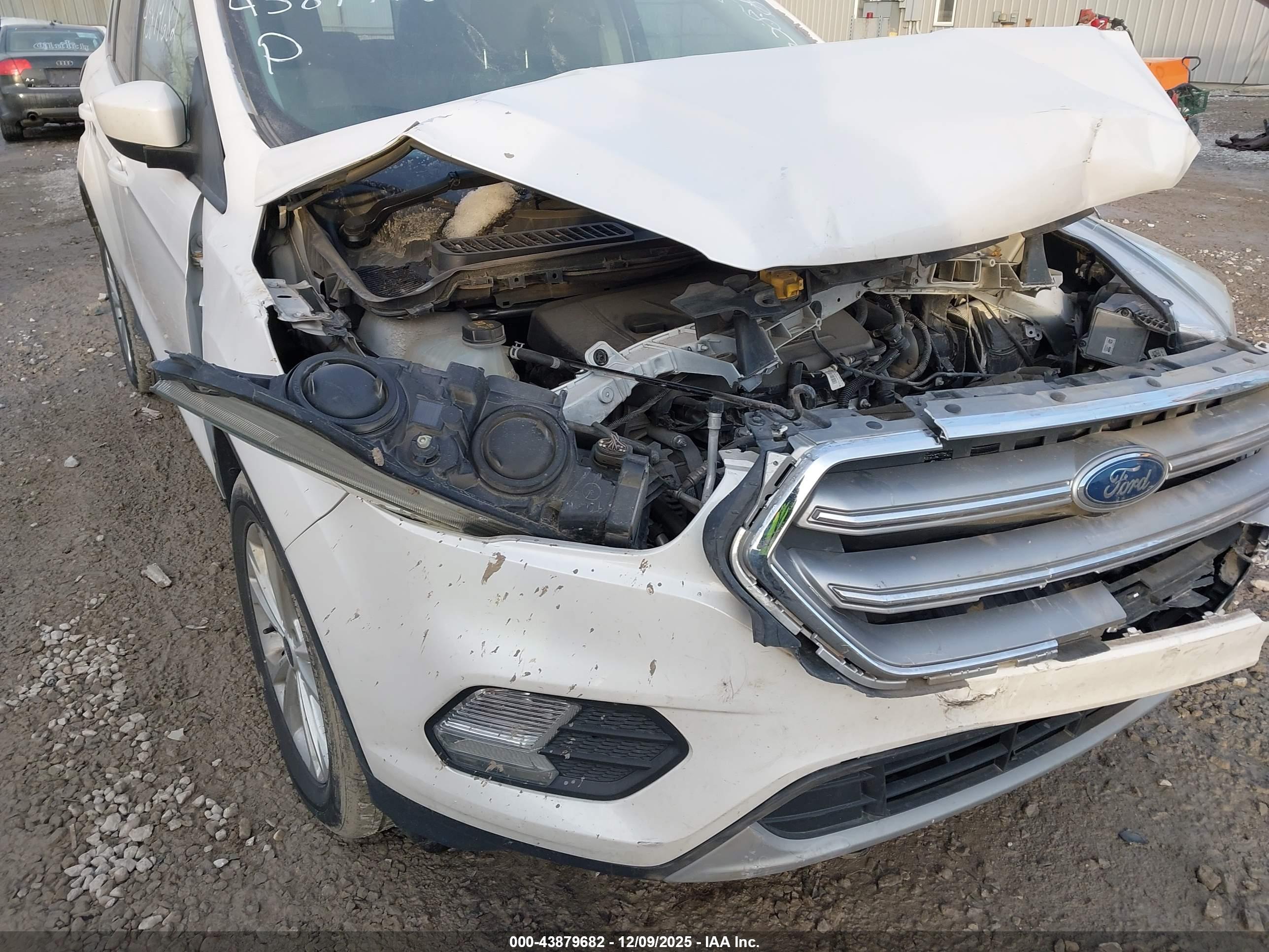 FORD ESCAPE image 6