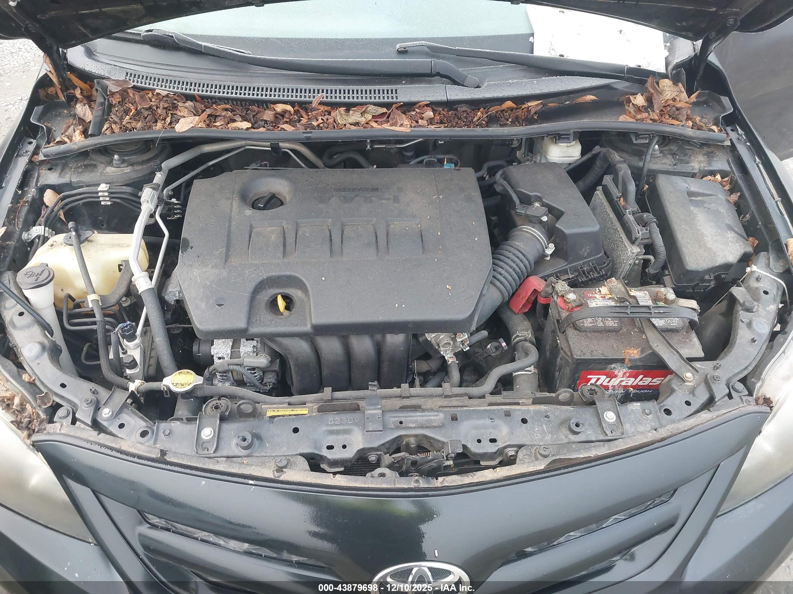 TOYOTA COROLLA image 10