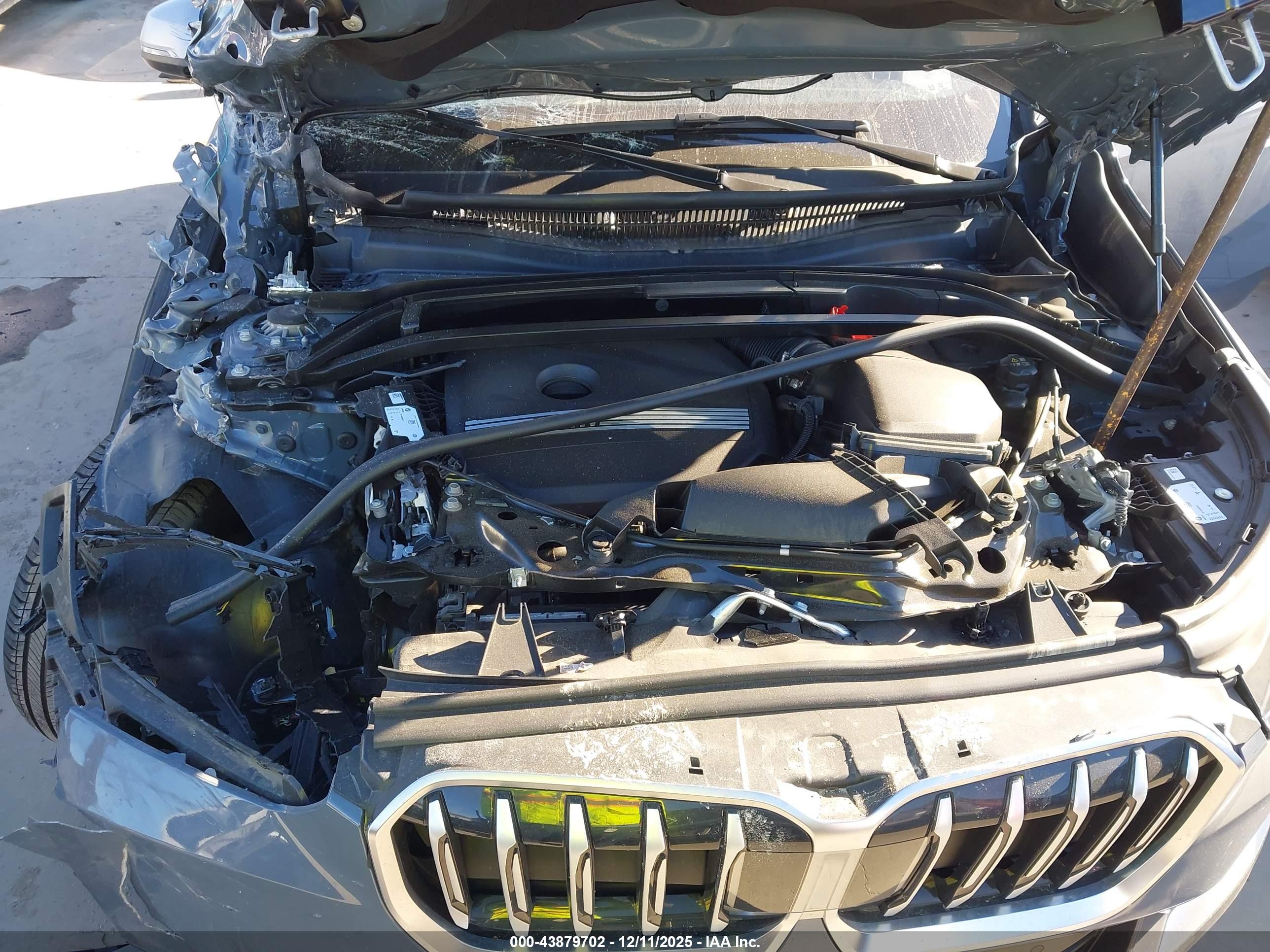 BMW X1 image 10
