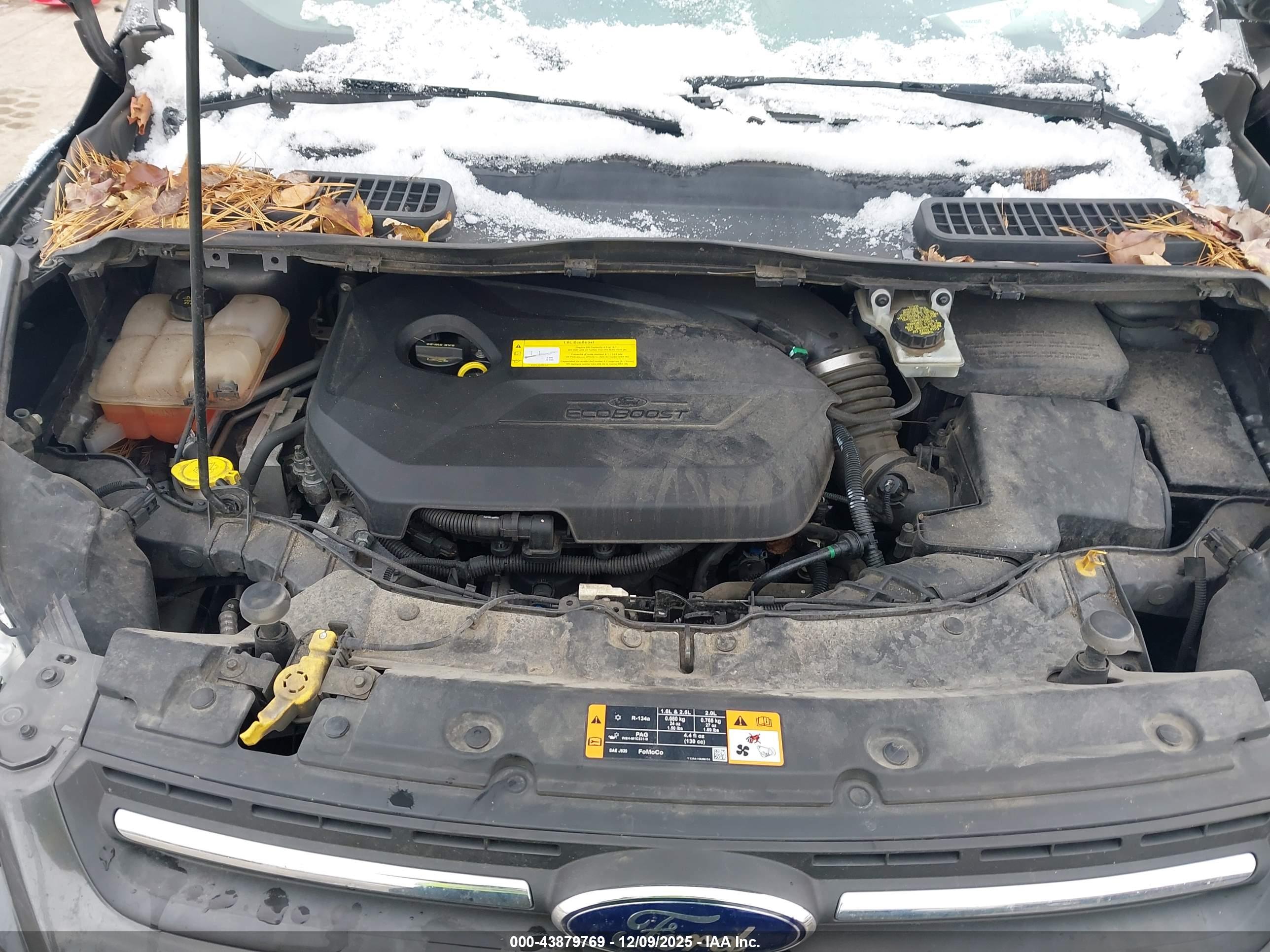 FORD ESCAPE image 10