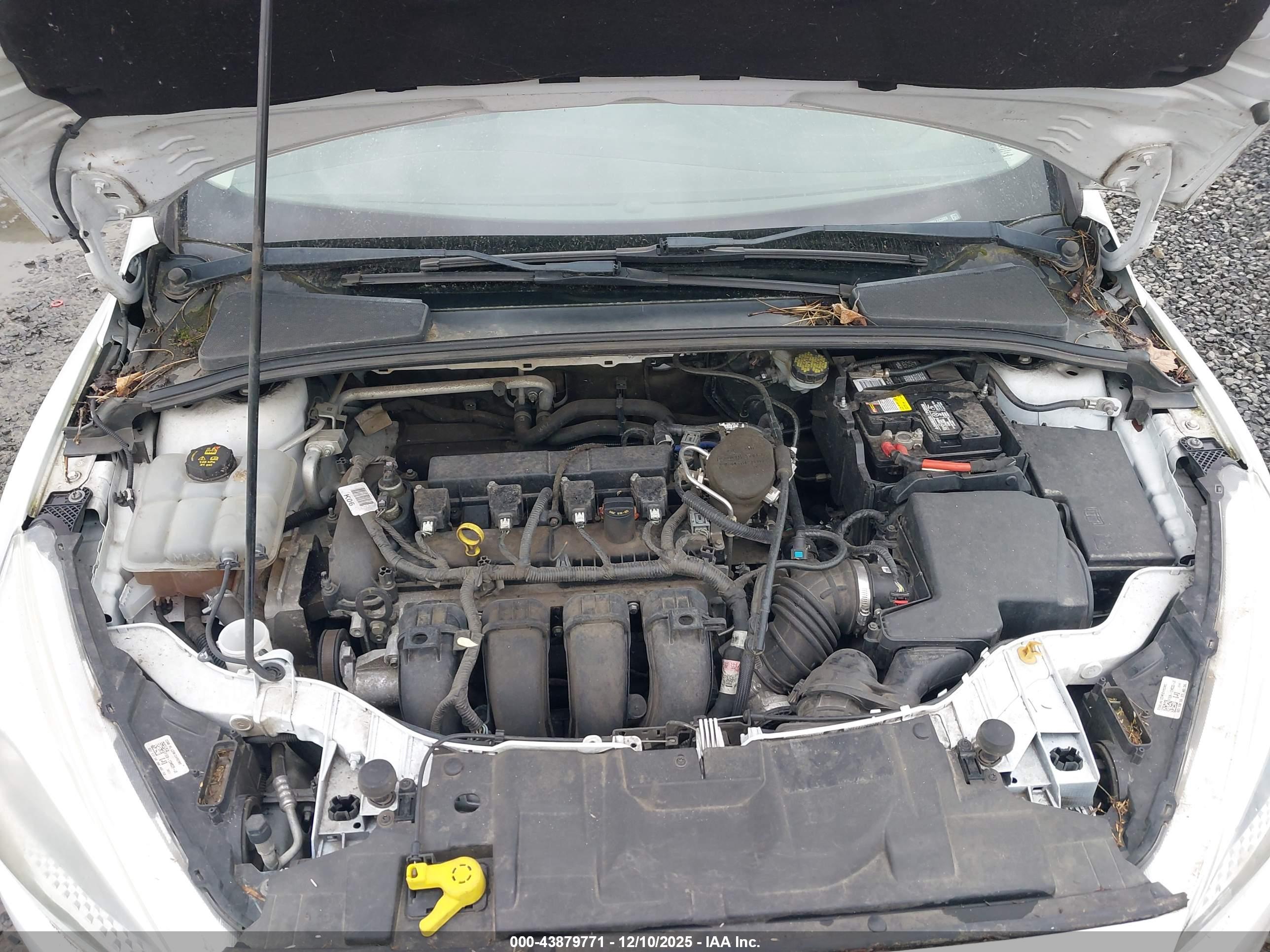 FORD FOCUS image 10