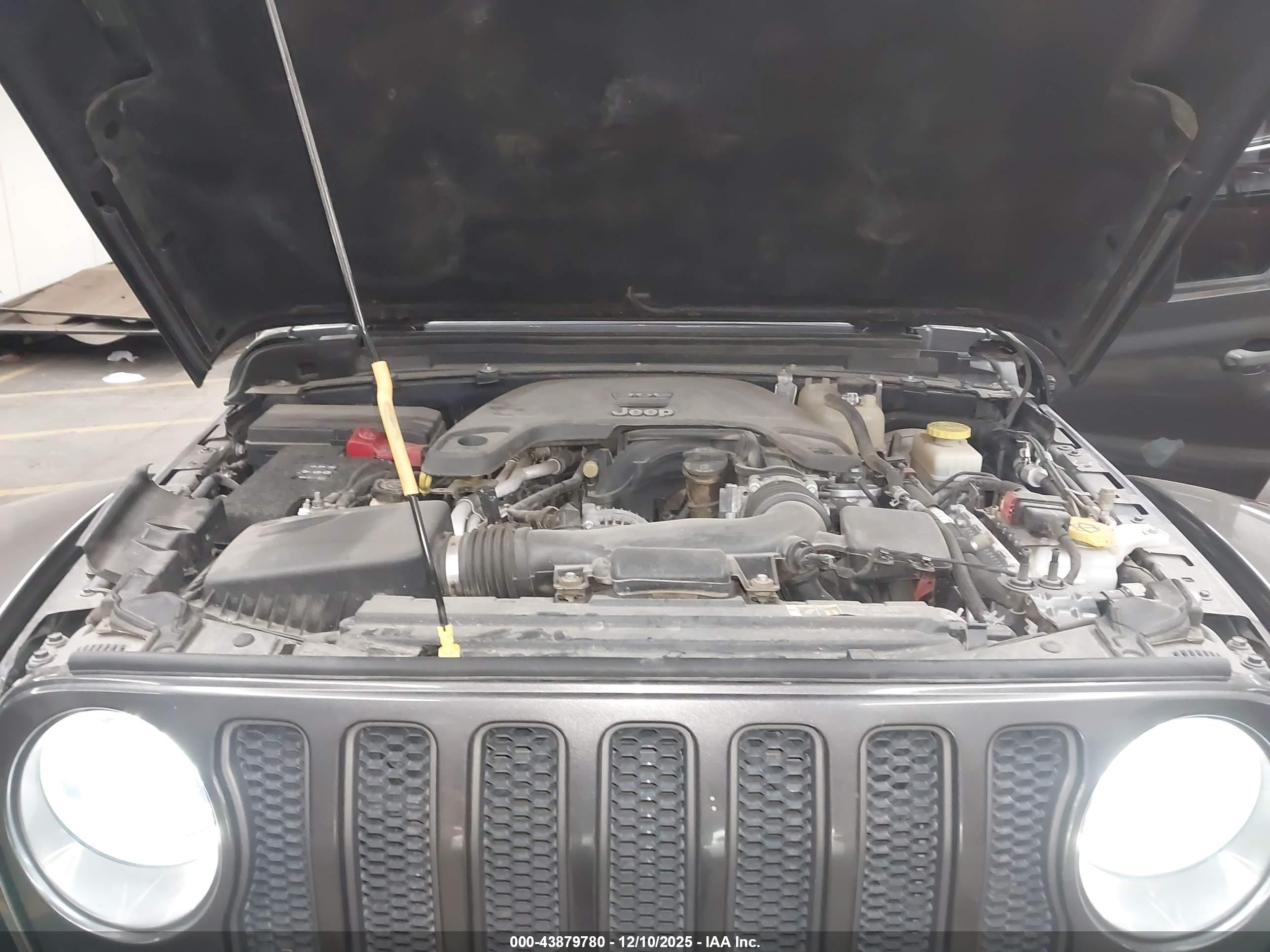 JEEP WRANGLER image 10