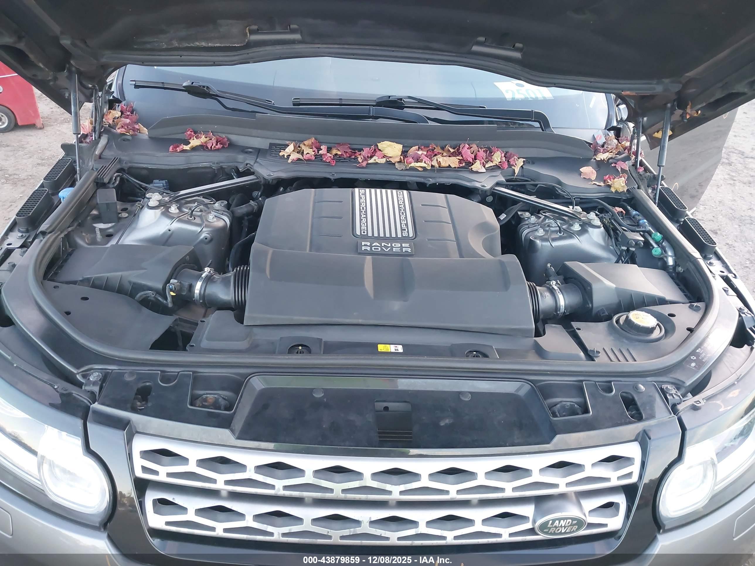 LAND ROVER image 10