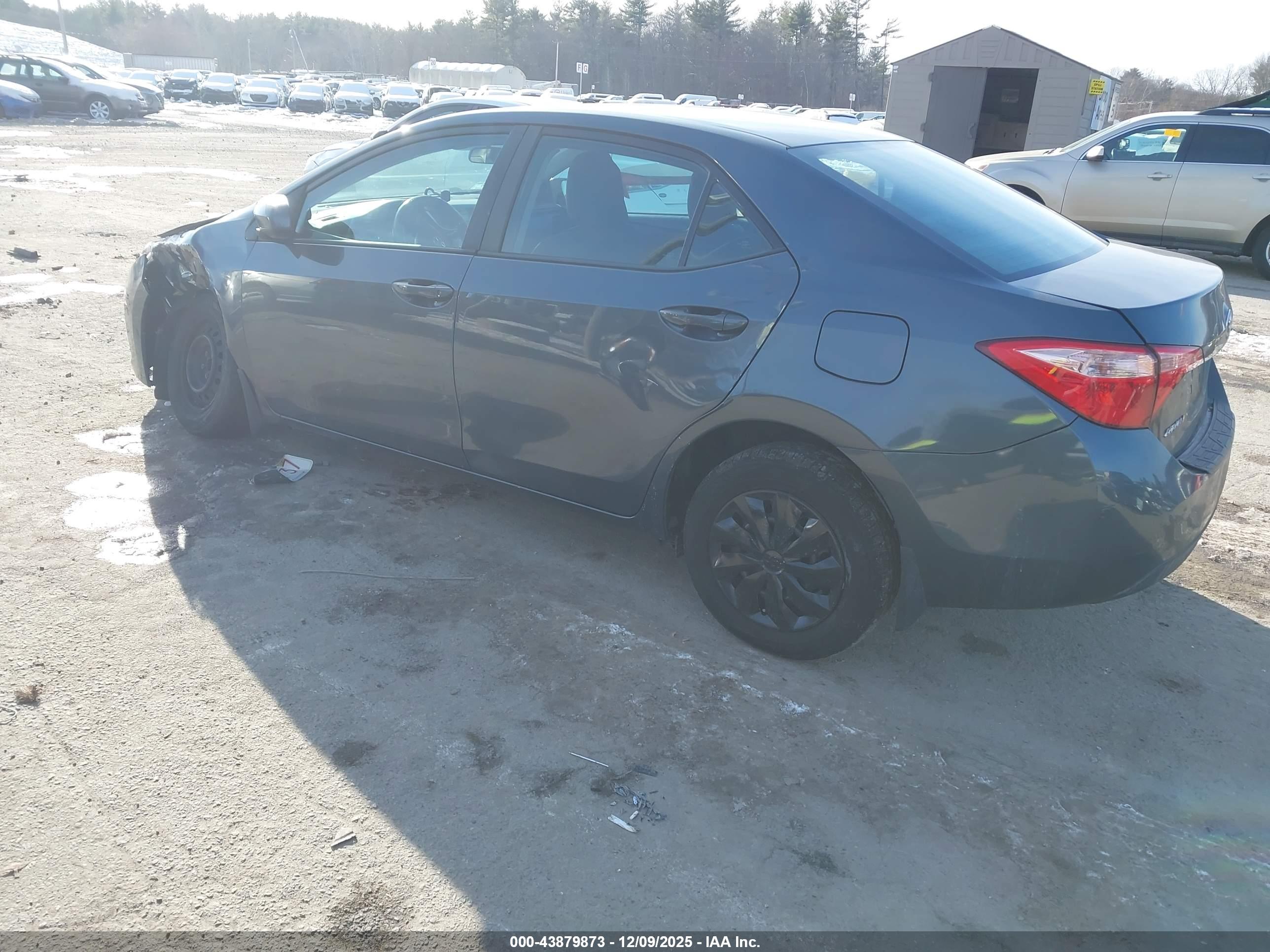 TOYOTA COROLLA image 3